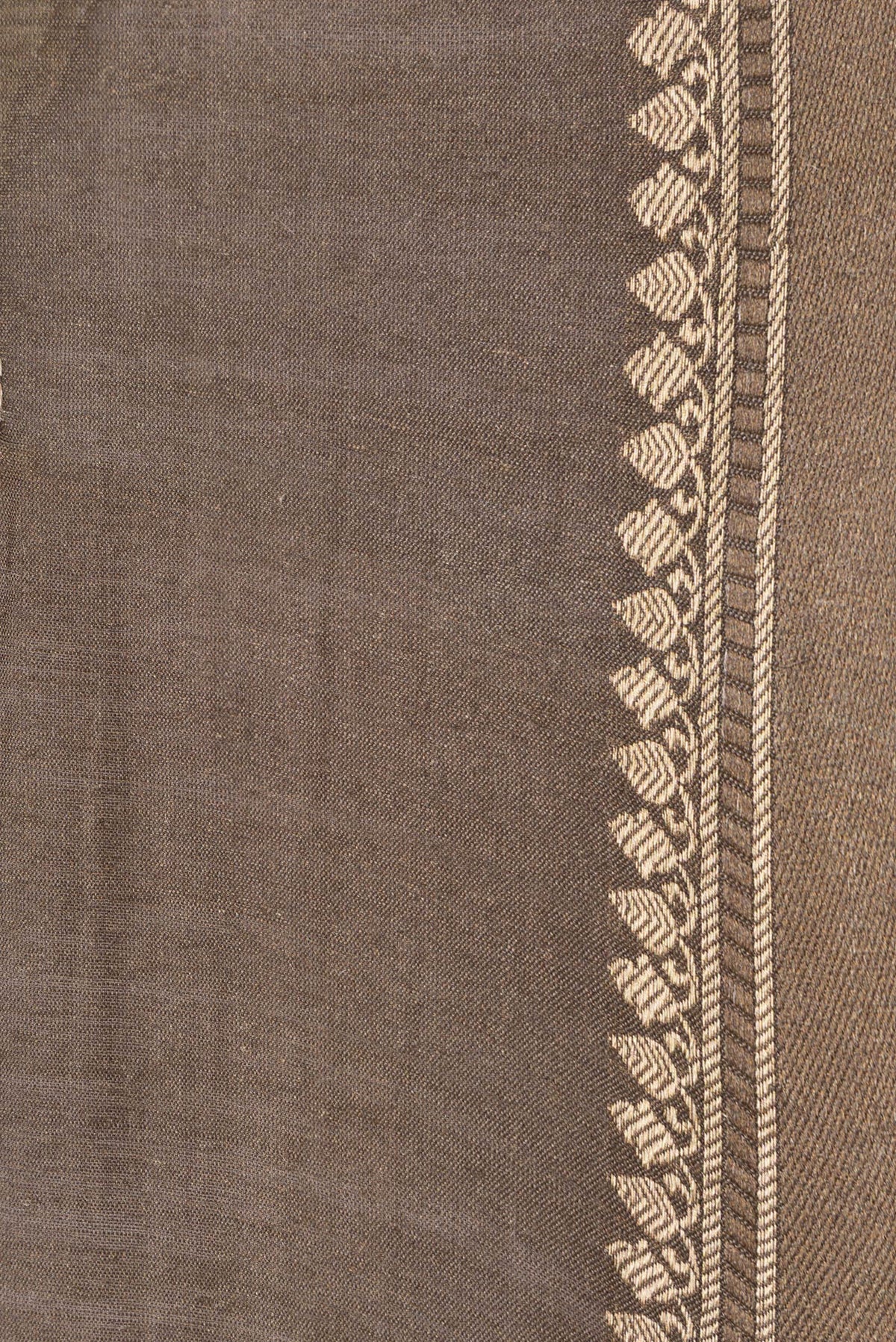 Border image of Beige Dual Tone Tussar Silk Saree with Embroidery on the body and Embroidery Border. 