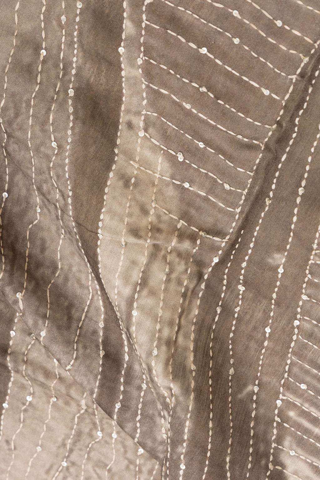 Close up of Beige Dual Tone Tussar Silk Saree with Embroidery on the body and Embroidery Border.  displaying folds