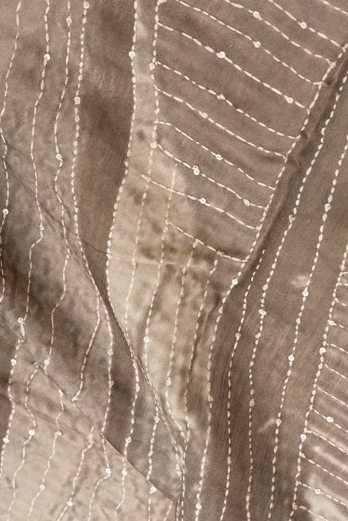 Close up of Beige Dual Tone Tussar Silk Saree with Embroidery on the body and Embroidery Border.  displaying folds