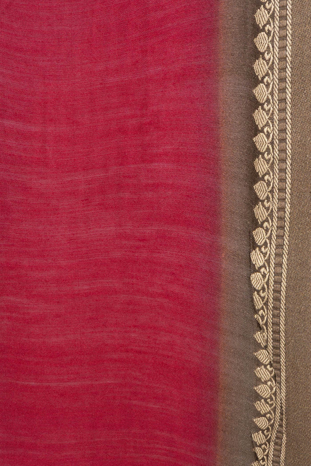 Border image of Beige Dual Tone Tussar Silk Saree with Embroidery on the body and Embroidery Border. 