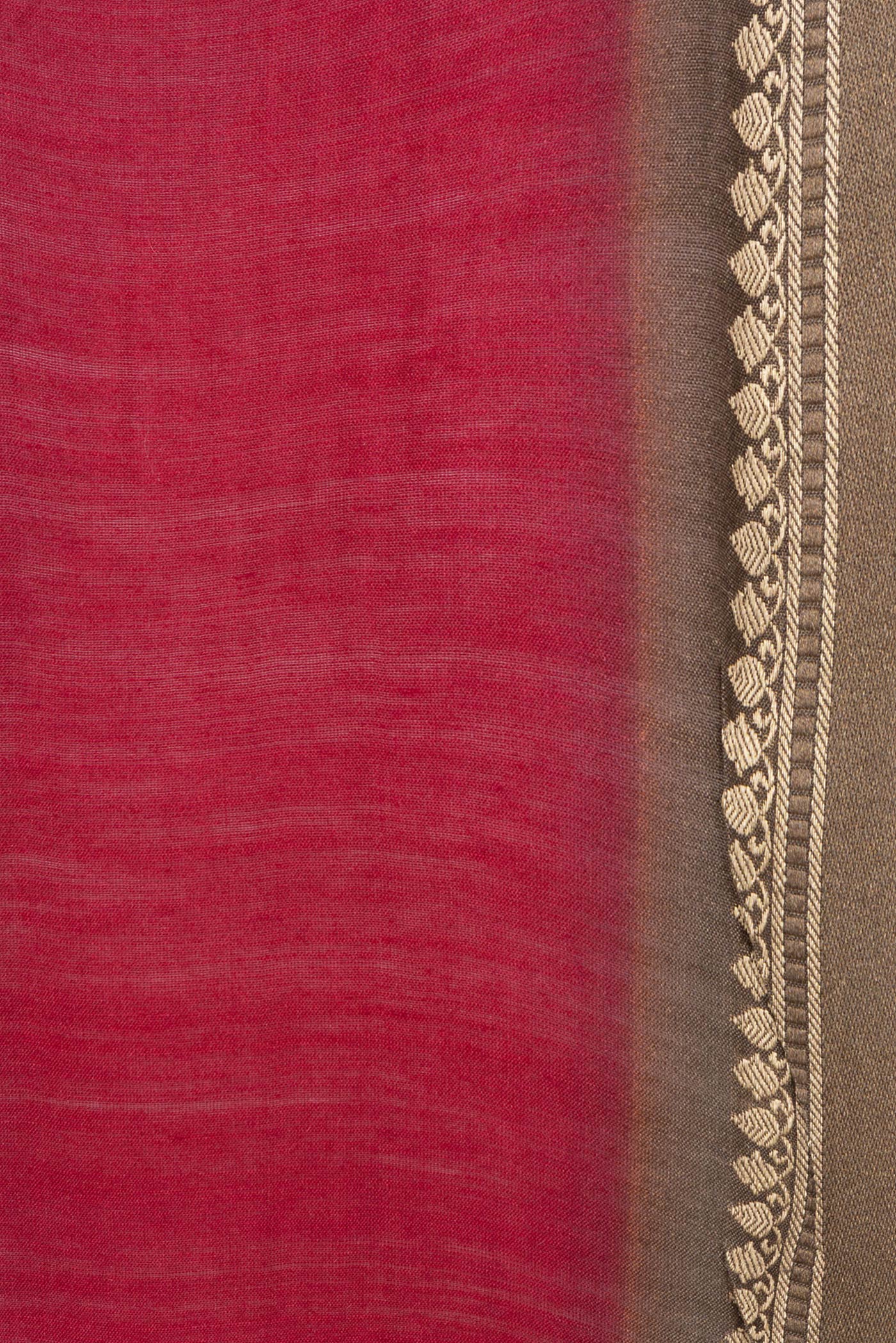 Border image of Beige Dual Tone Tussar Silk Saree with Embroidery on the body and Embroidery Border. 