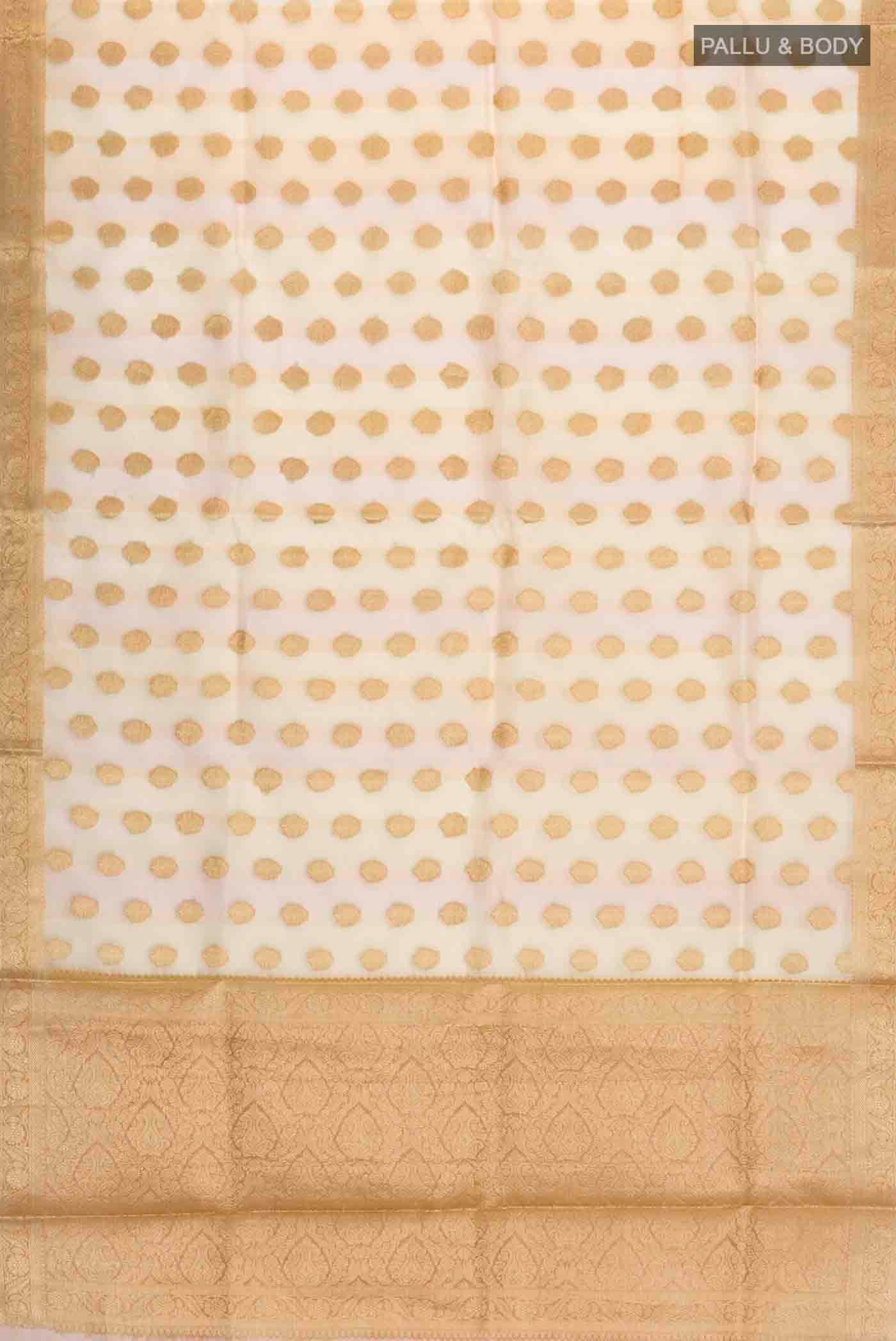pallu body