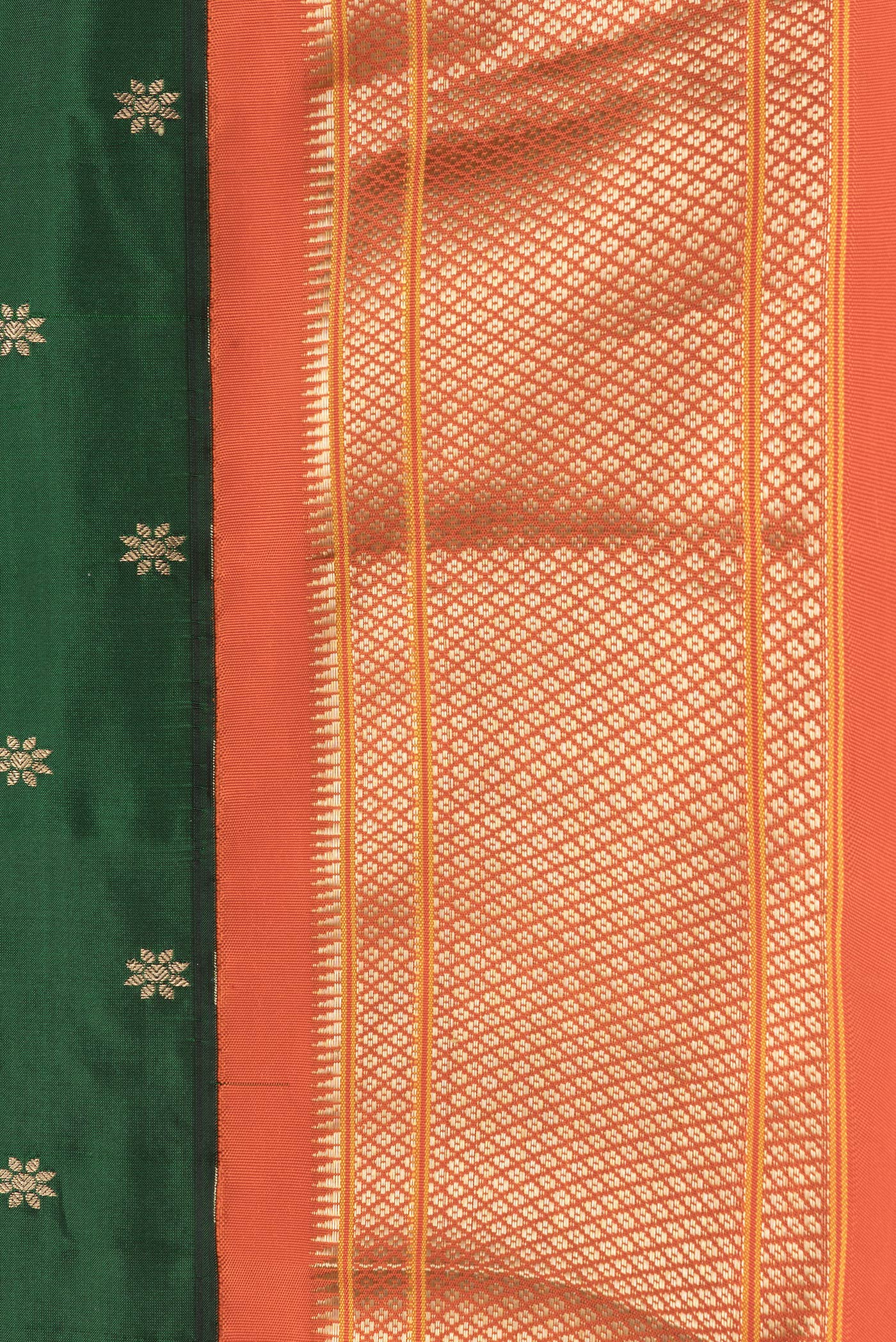 Border image of Bottle Green Dual Tone Paithani Silk Saree with Zari Butta on the body and Zari Border. 