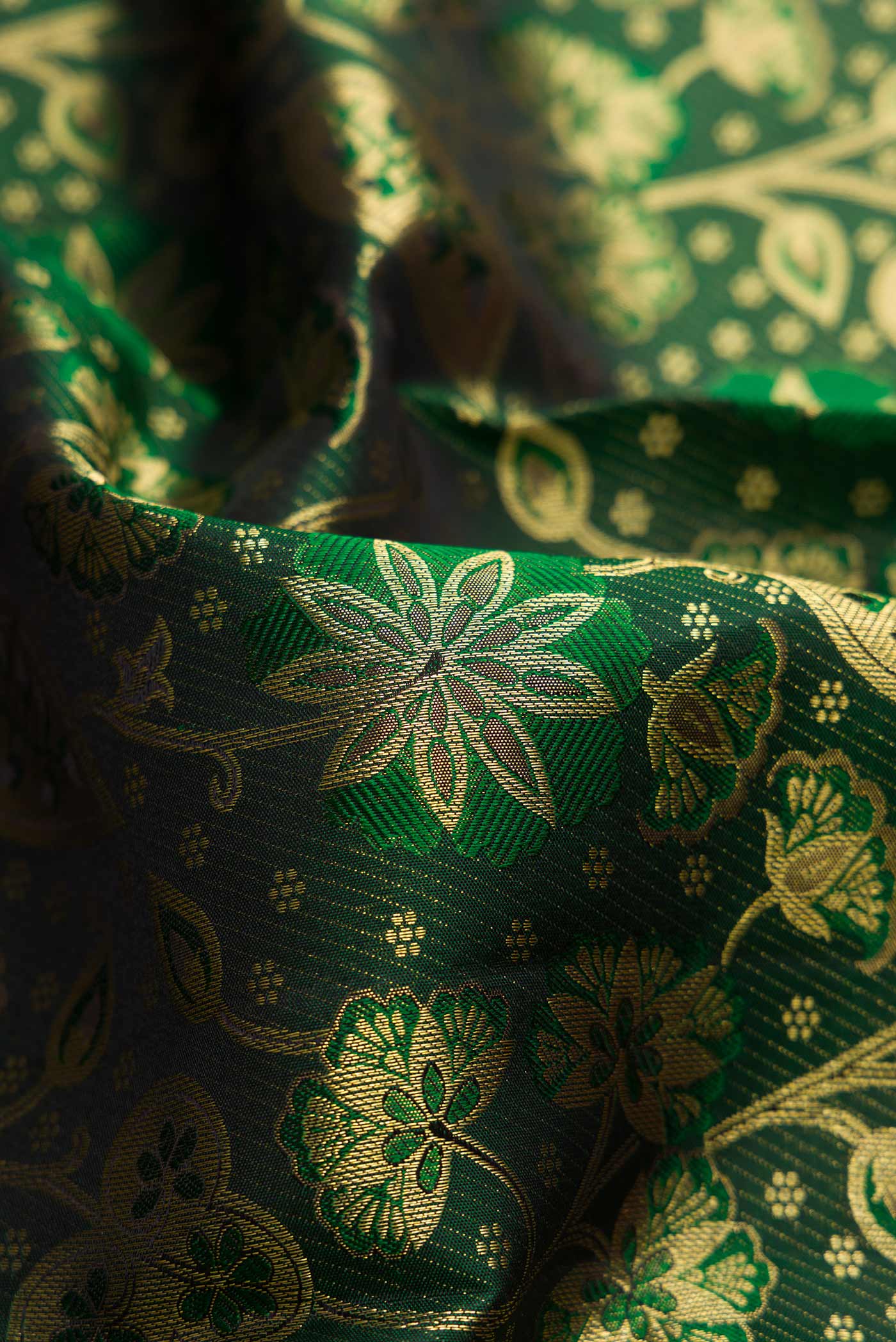 Close up of Bottle Green Dual Tone Kanchipuram Silk Saree with Zari Brocade on the body and Zari Border.  displaying folds
