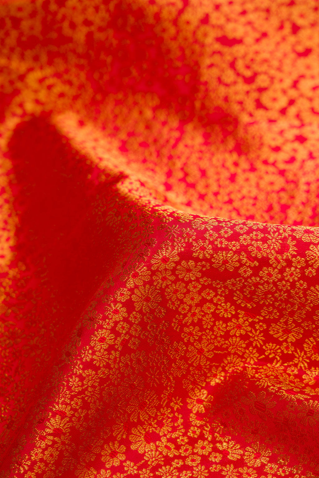 Close up of Red Dual Tone Kanchipuram Silk Saree with Zari Brocade on the body and Fancy Border.  displaying folds