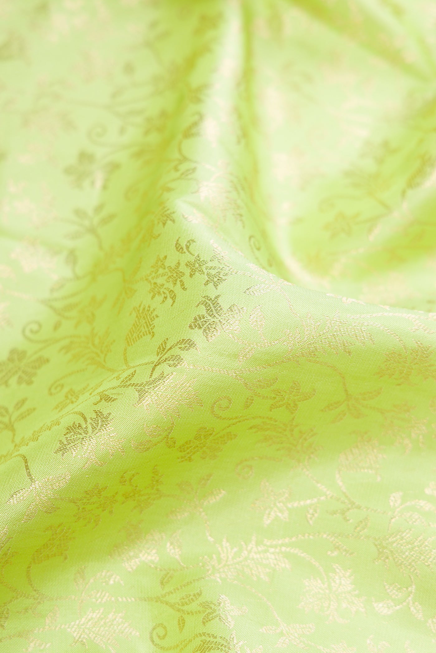 Close up of Parrot Green Dual Tone Kanchipuram Silk Saree with Zari Brocade on the body and Zari Border.  displaying folds