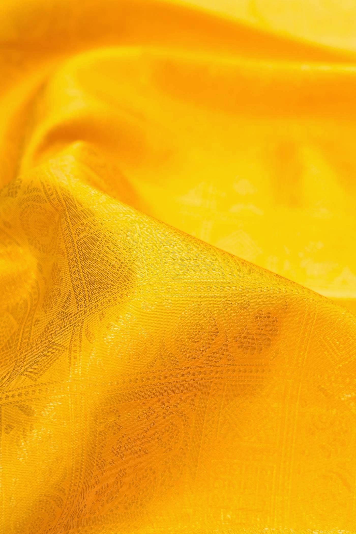 Close up of Yellow Dual Tone Kanjivaram Silk Saree with Zari Brocade on the body and Zari Border.  displaying folds