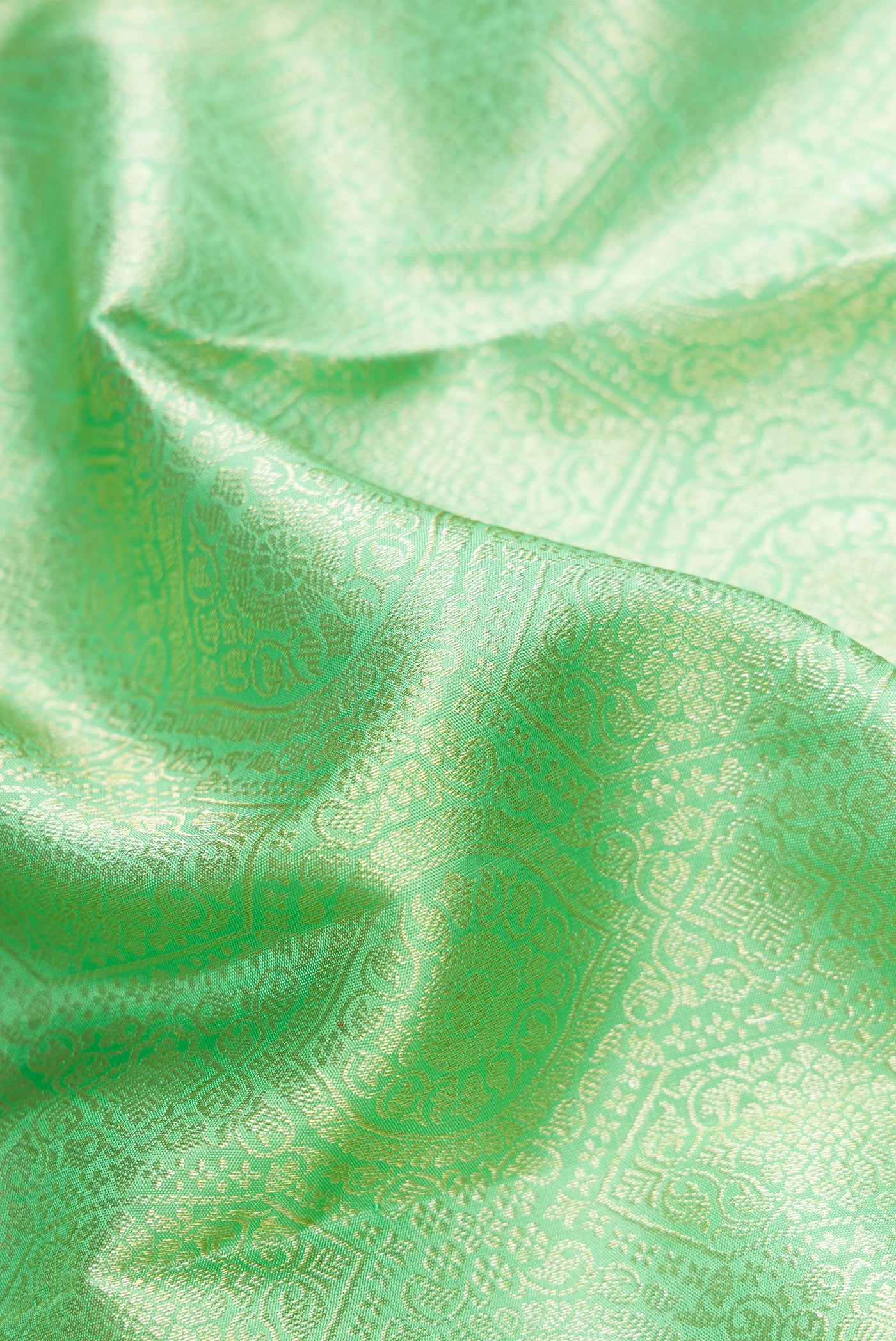 Close up of Light Green Dual Tone Kanchipuram Silk Saree with Zari Brocade on the body and Zari Border.  displaying folds