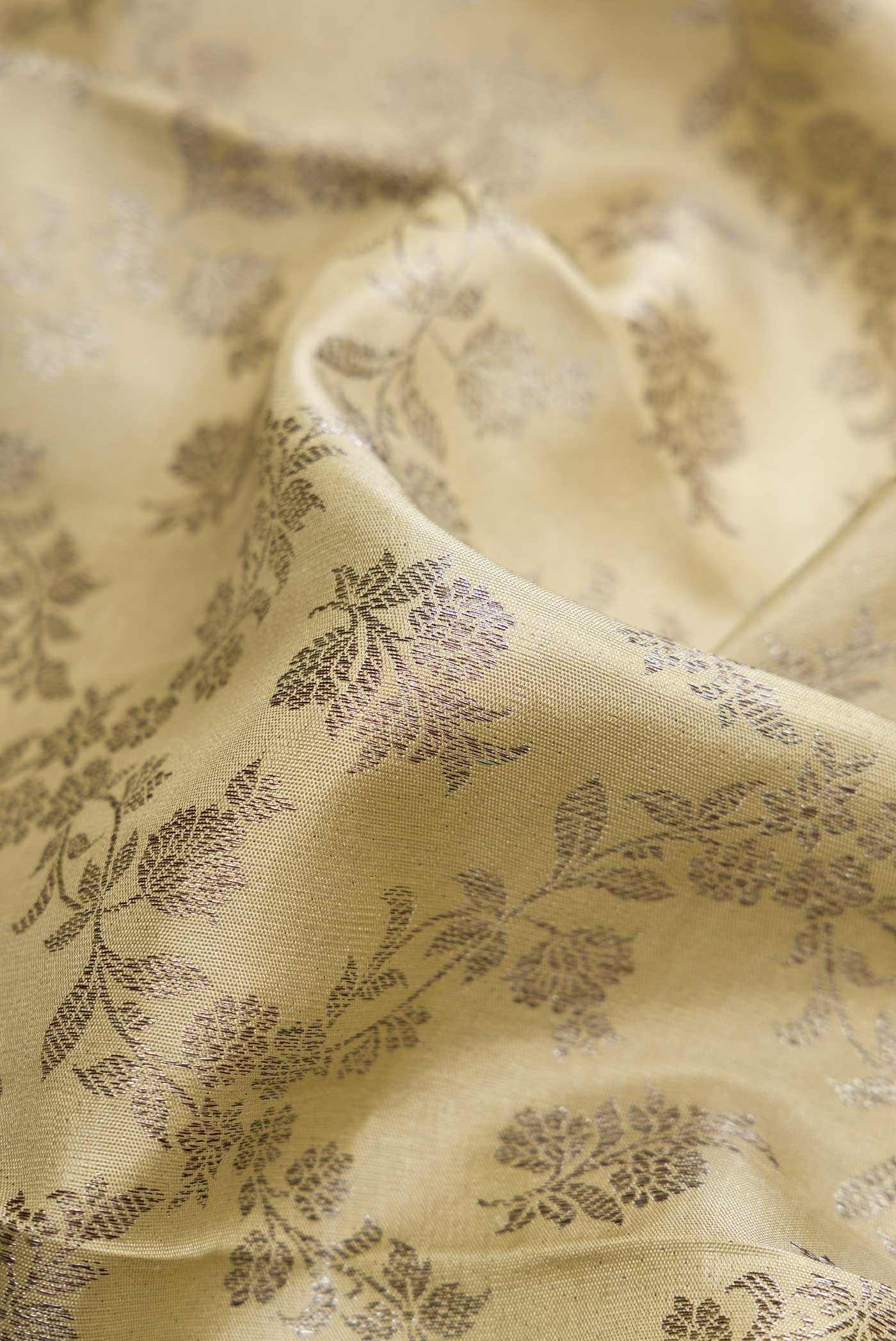 Close up of Beige Dual Tone Kanchipuram Silk Saree with Zari Brocade on the body and Zari Border displaying folds