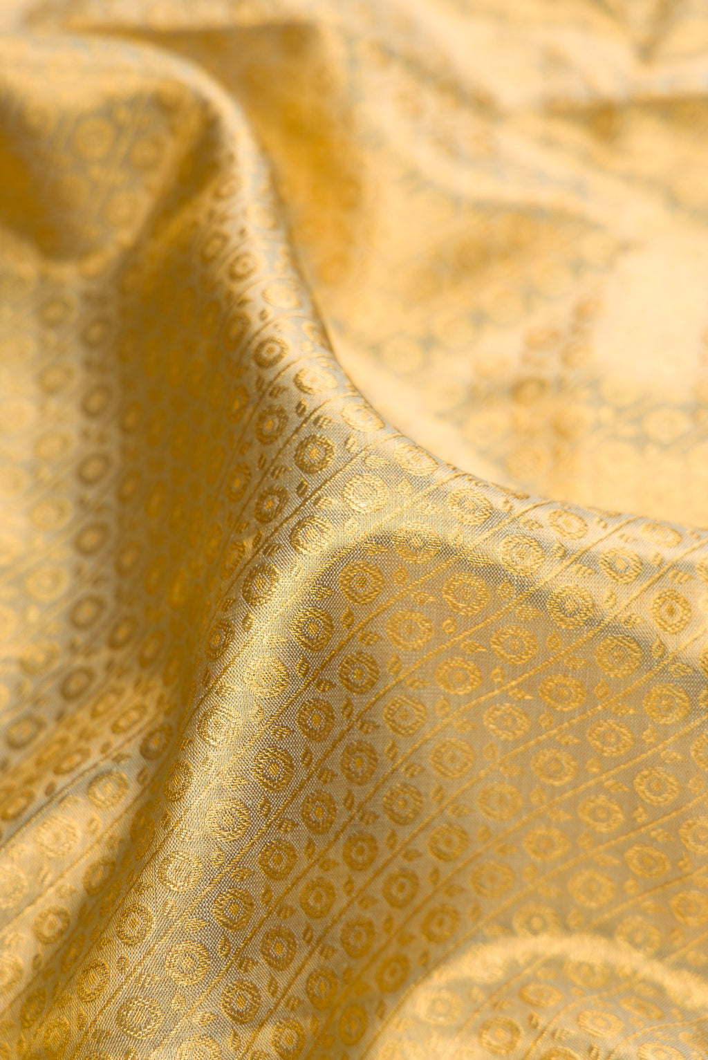 Close up of Gold Dual Tone Kanchipuram Tissue Silk Saree with Zari Brocade on the body and Zari Border.  displaying folds