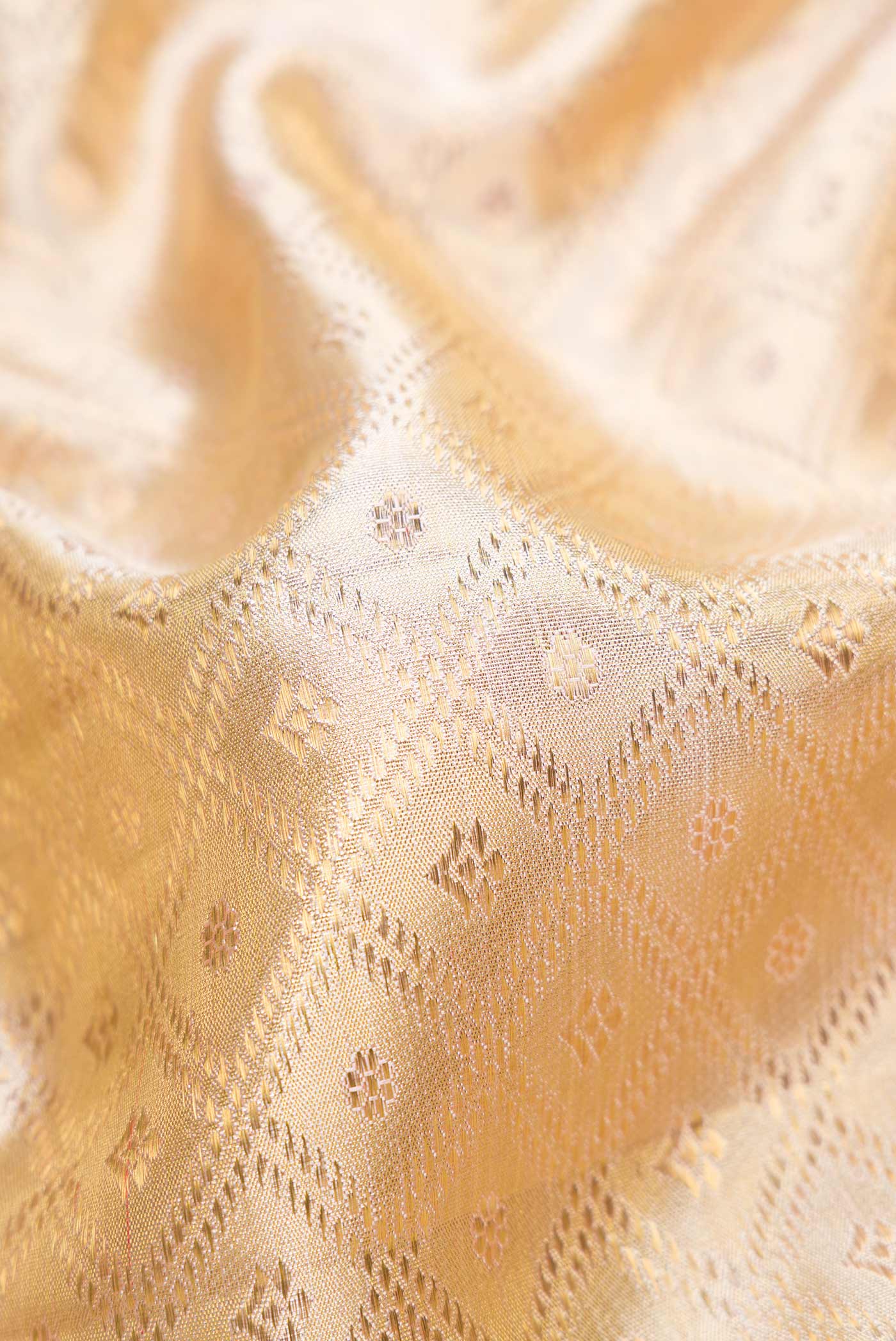 Close up of Gold Dual Tone Kanjivaram Tissue Silk Saree with Zari Brocade on the body and Fancy Border.  displaying folds