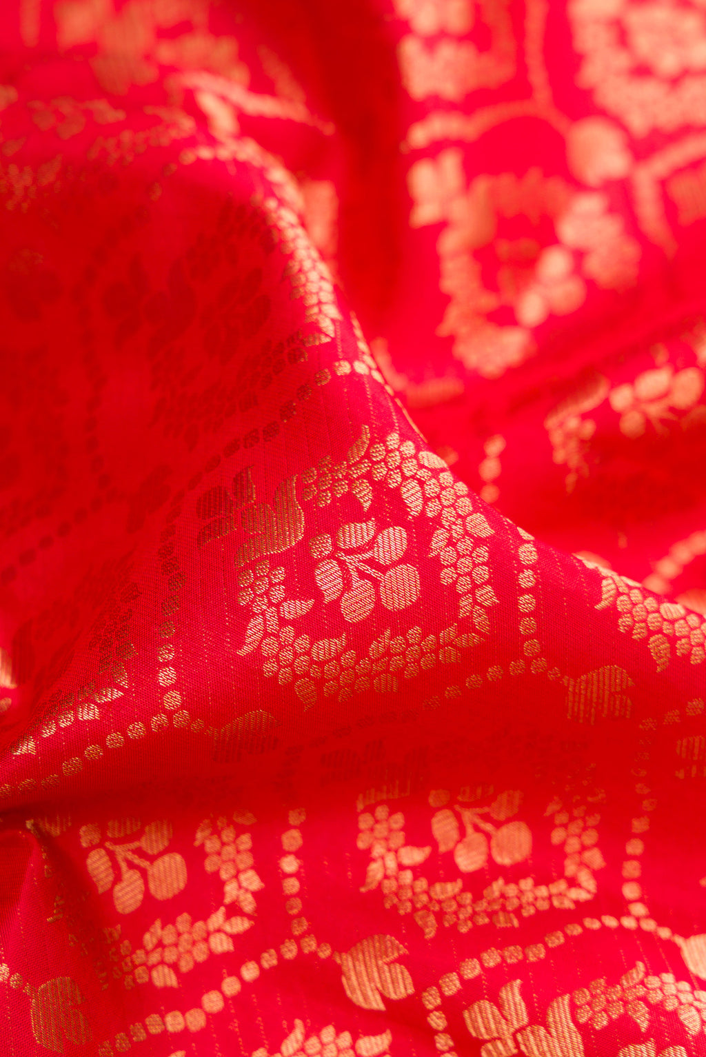 Close up of Red Kanjivaram Silk Saree with Zari Brocade on the body and Zari Border.  displaying folds