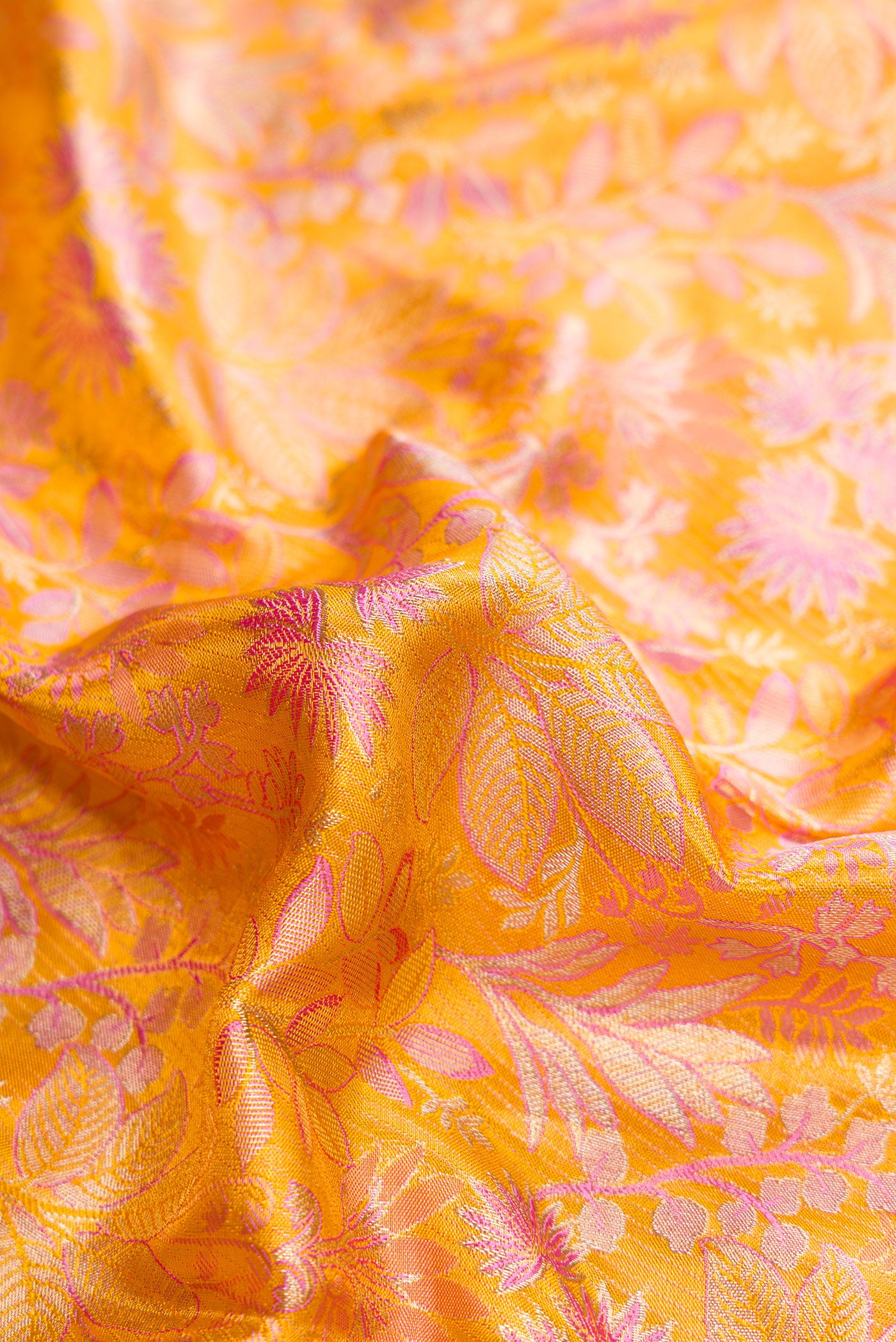 Close up of Gold Dual Tone Kanchipuram Tissue Silk Saree with Zari Brocade on the body and Zari Border.  displaying folds