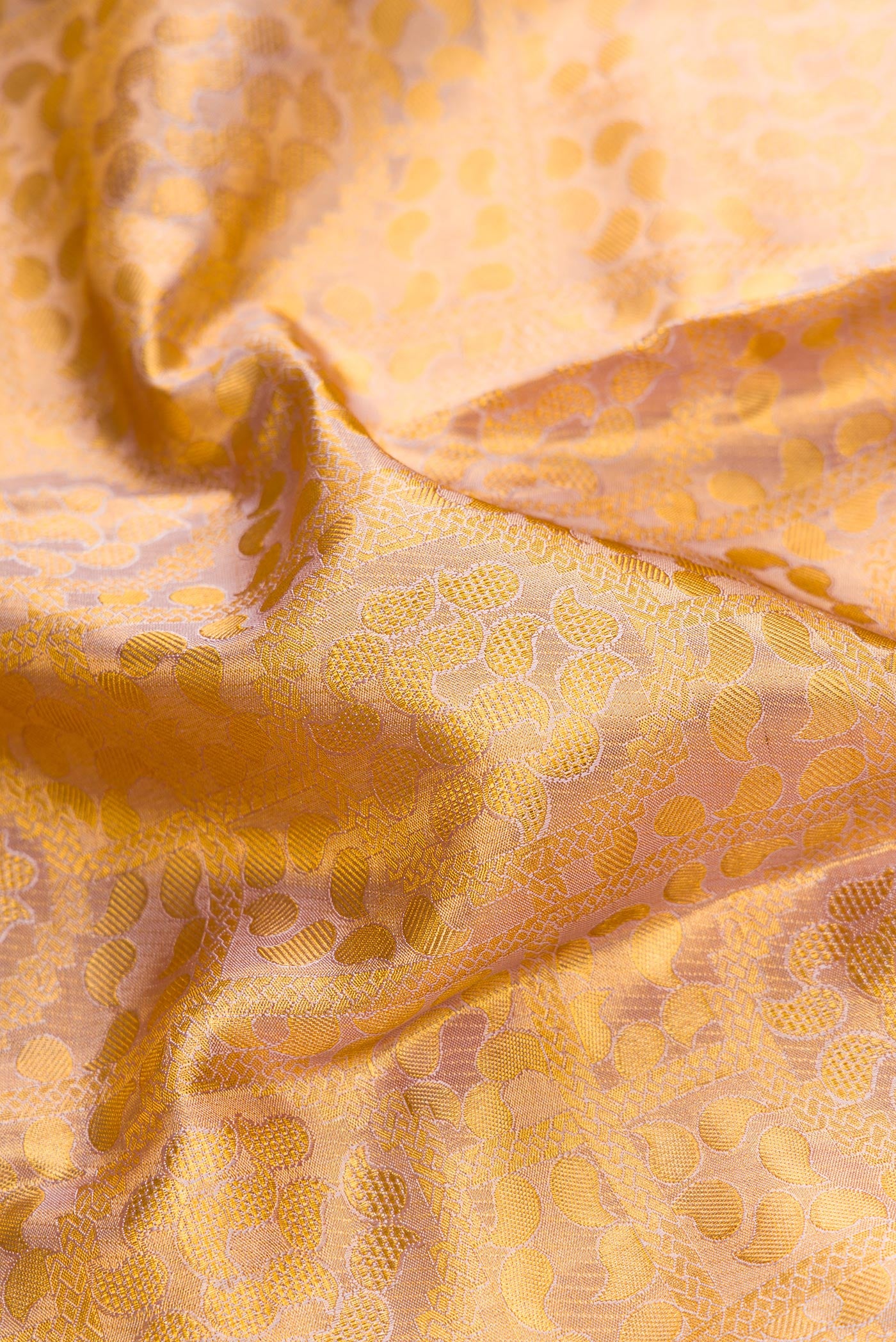 Close up of Rose Gold Dual Tone Kanchipuram Tissue Silk Saree with Zari Brocade on the body and Zari Border.  displaying folds