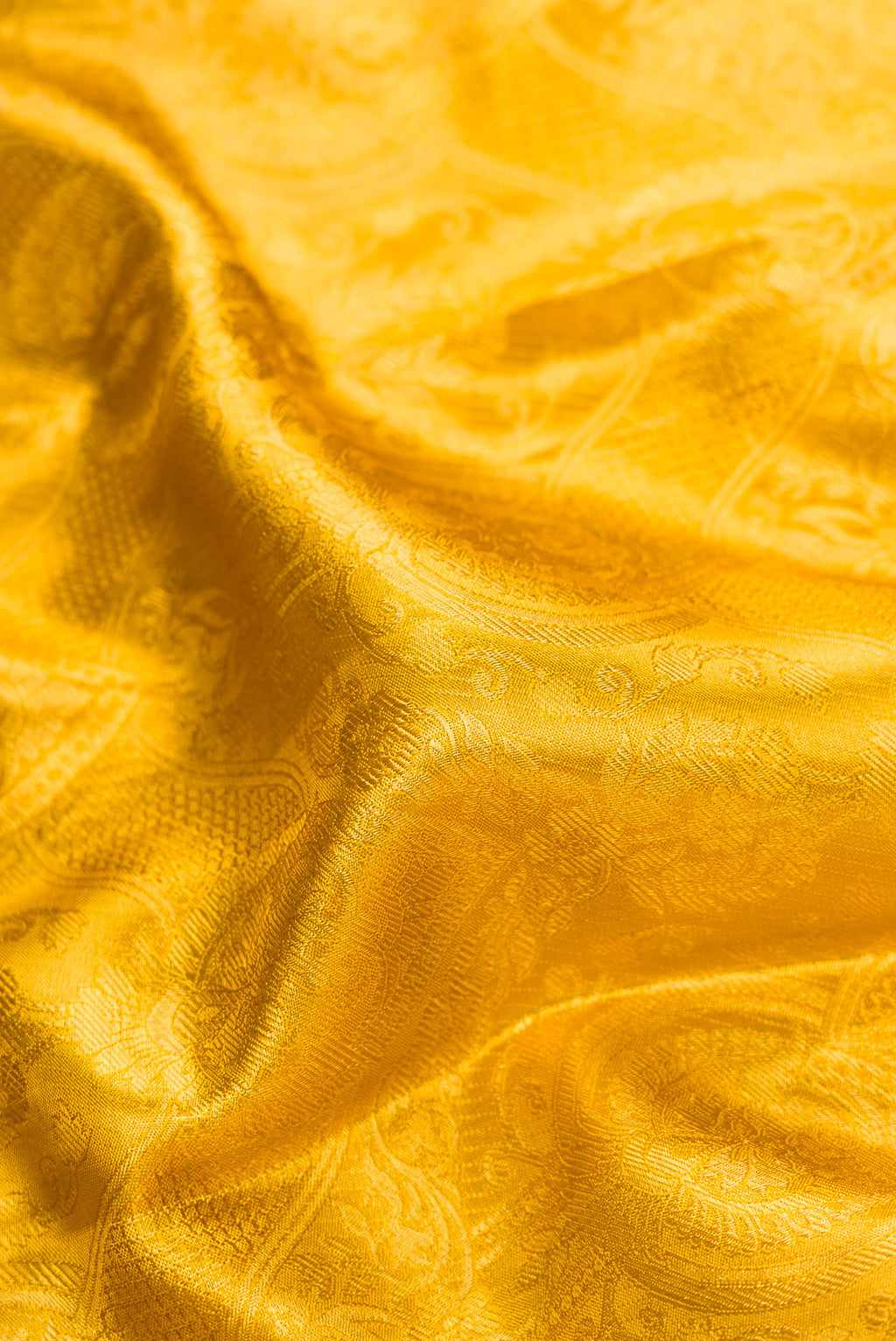 Close up of Gold Dual Tone Kanchipuram Tissue Silk Saree with Zari Brocade on the body and Zari Border.  displaying folds
