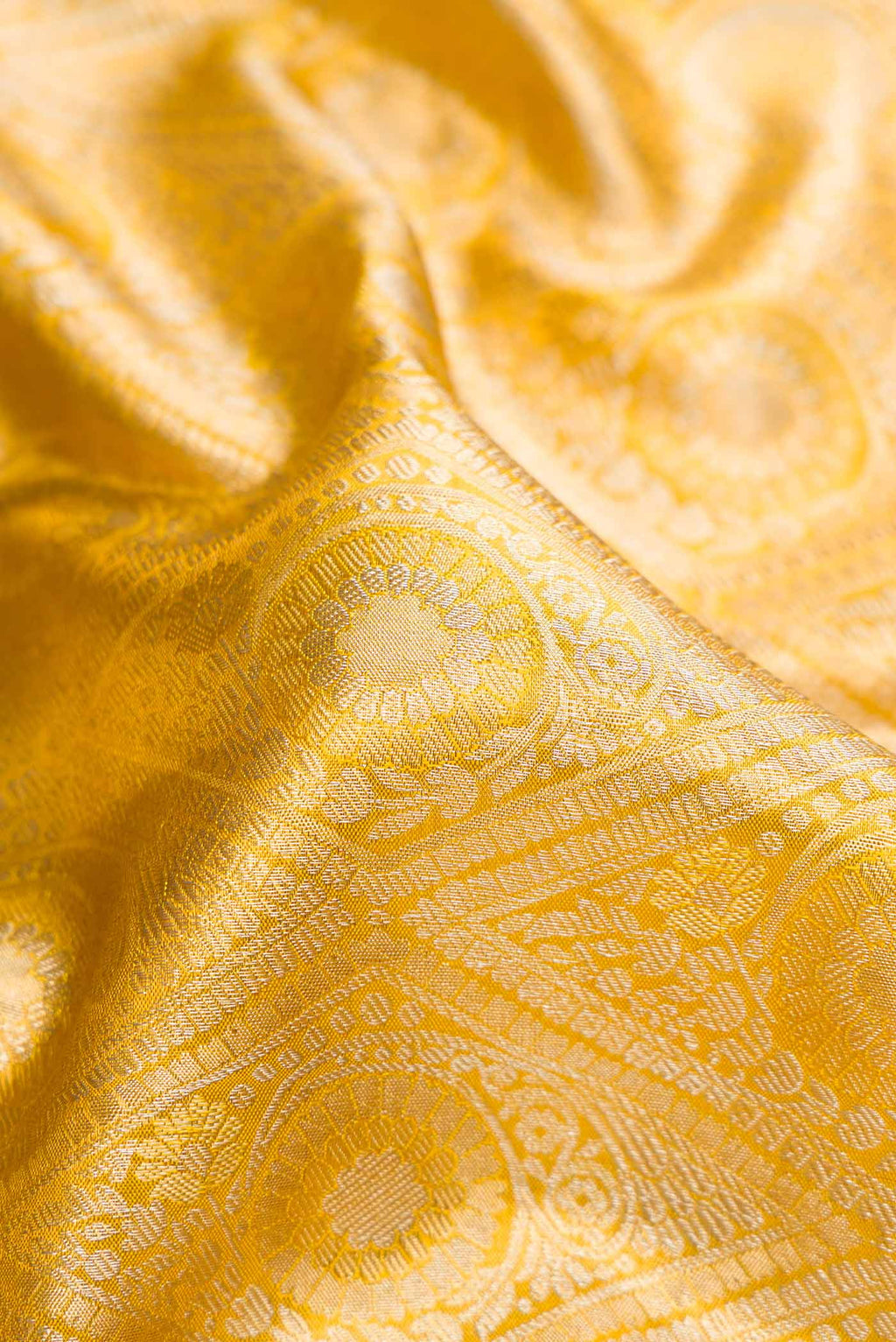 Close up of Gold Dual Tone Kanchipuram Tissue Silk Saree with Zari Brocade on the body and Zari Border.  displaying folds