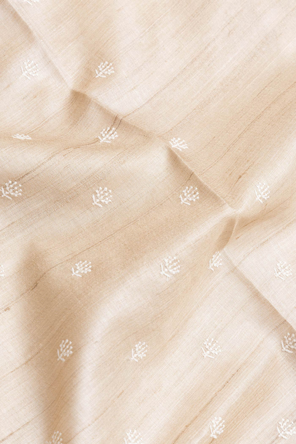 Close up of Beige Dual Tone Tussar Silk Saree with Embroidery on the body and Printed Border.  displaying folds