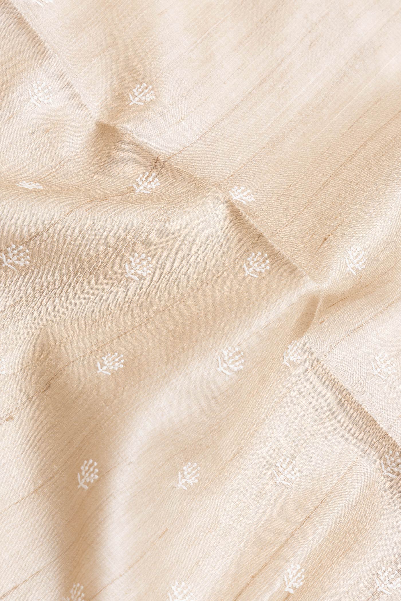 Close up of Beige Dual Tone Tussar Silk Saree with Embroidery on the body and Printed Border.  displaying folds