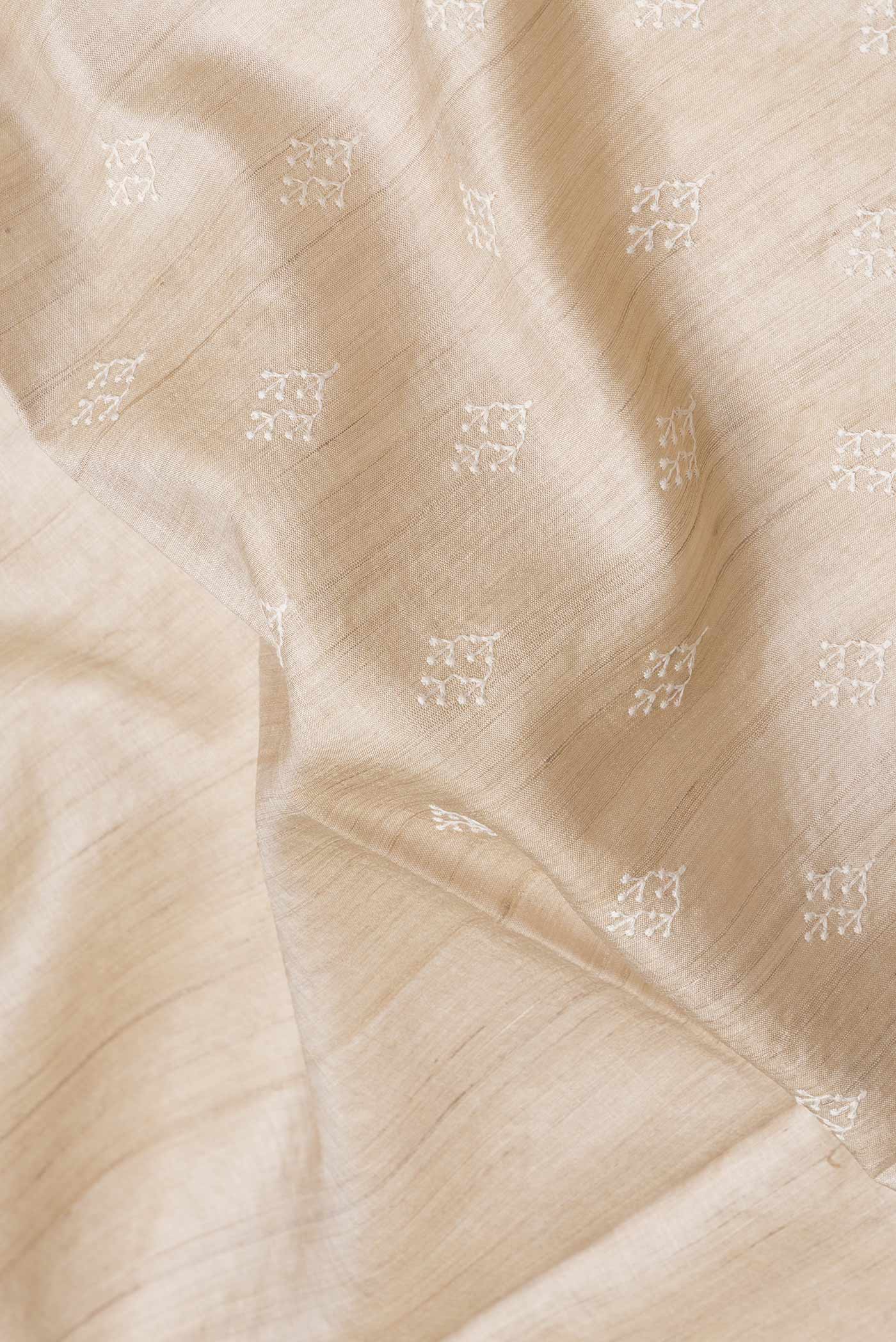 Close up of Beige Dual Tone Tussar Silk Saree with Embroidery on the body and Embroidery Border.  displaying folds