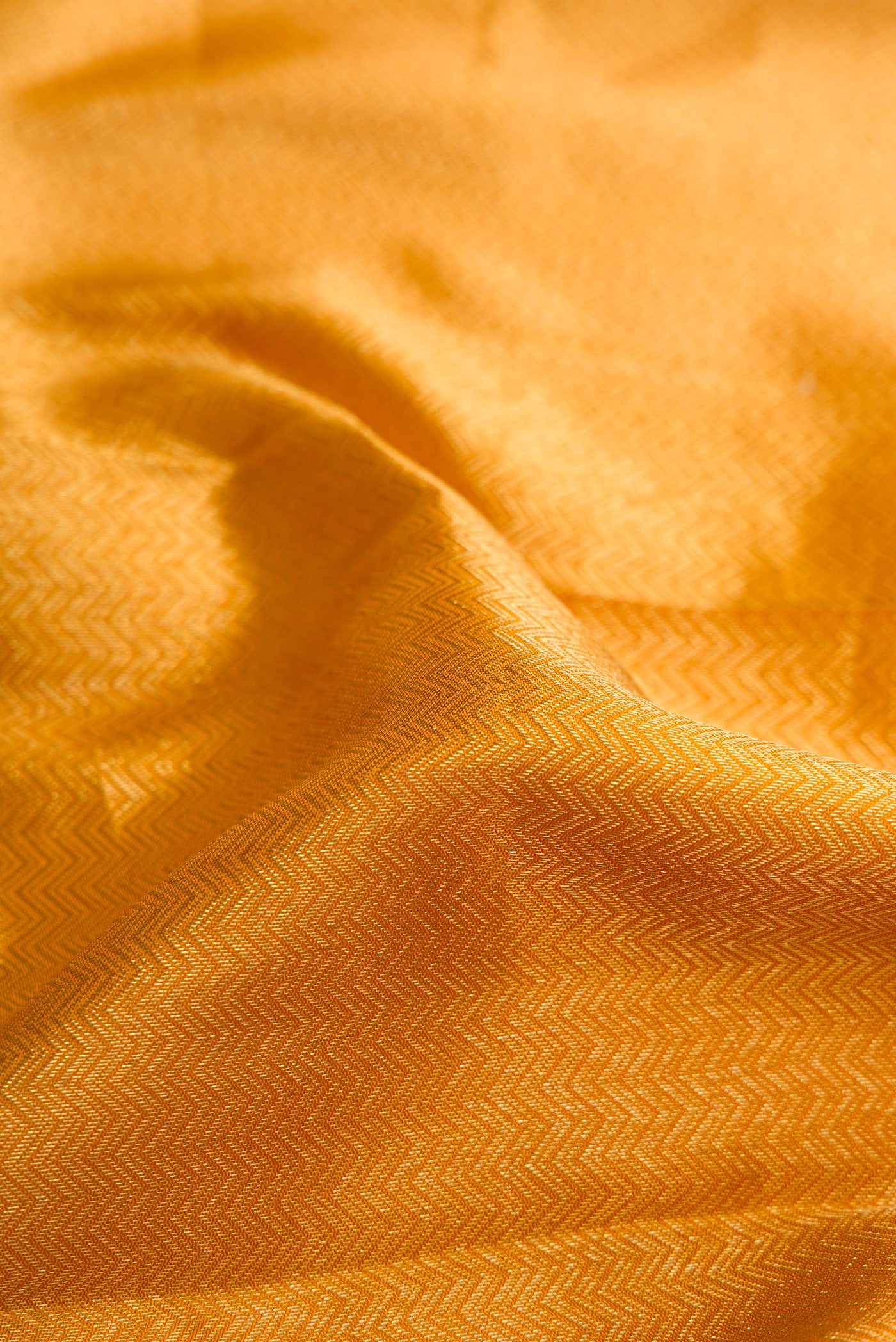 Close up of Gold Dual Tone Kanjivaram Silk Saree with Zari Brocade on the body and Zari Border.  displaying folds