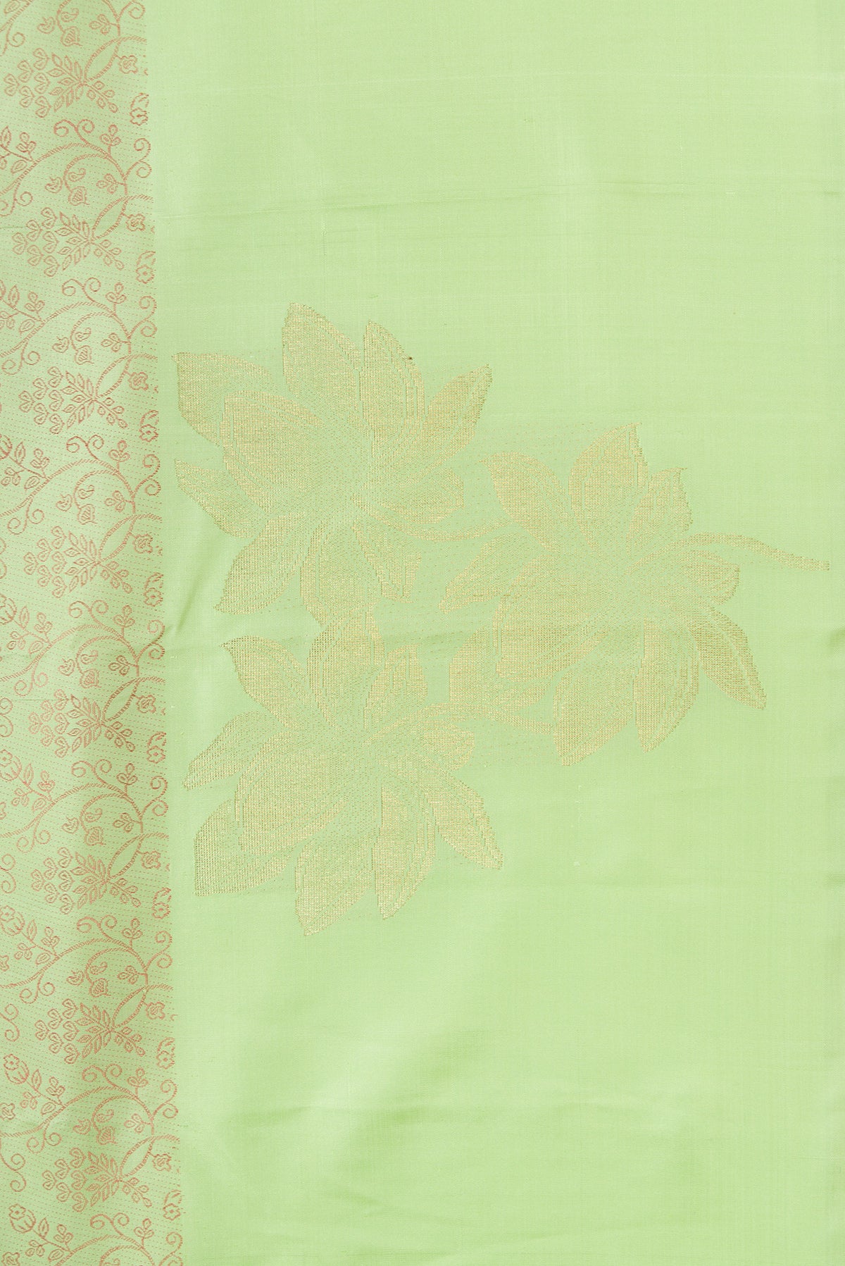 Border image of Pure Silk Pure Zari Pista Green Dual Tone Kanchipuram Saree with Jacquard design on the body and Fancy Border. 