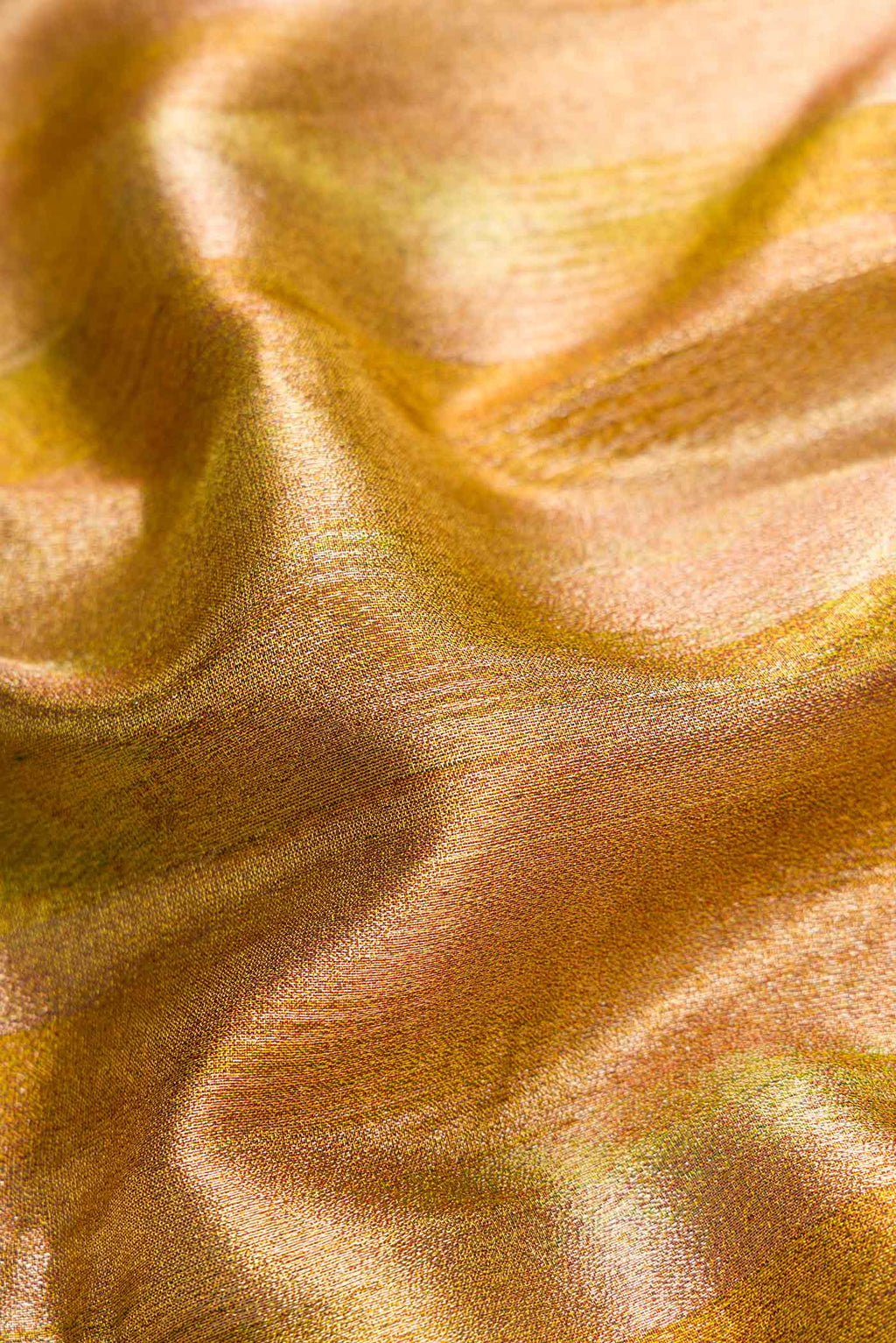 Close up of Green Dual Tone Kanjivaram Tissue Silk Saree with Zari Brocade on the body and Temple Border.  displaying folds