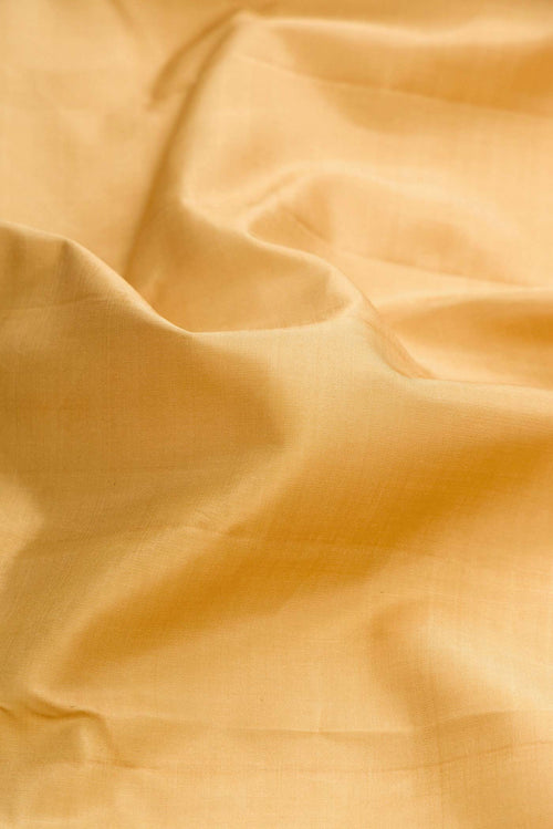 Close up of Beige Dual Tone Kanchipuram Silk Saree with Plain Body and Zari Border displaying folds