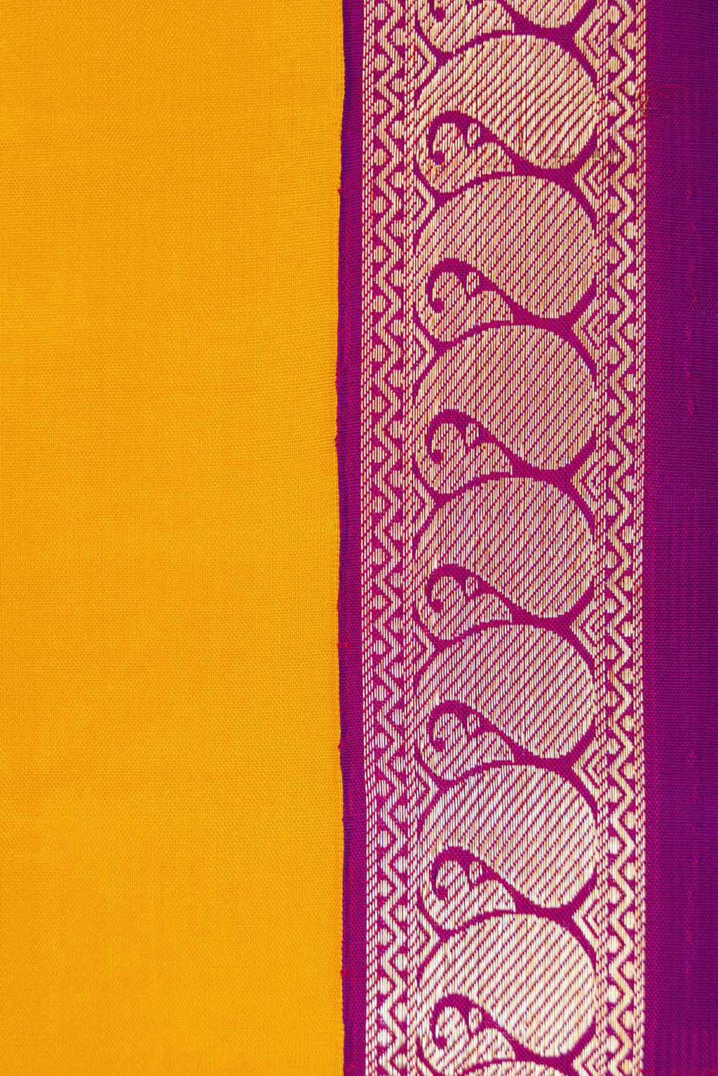 Border image of Mustard Dual Tone Kanjivaram Silk Saree with Plain Body and Zari Border. 