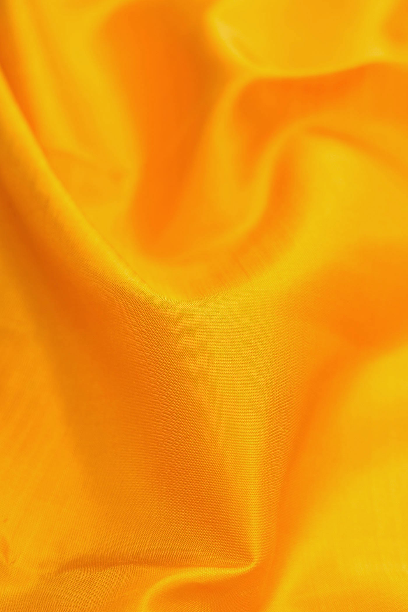 Close up of Mustard Dual Tone Kanjivaram Silk Saree with Plain Body and Zari Border.  displaying folds
