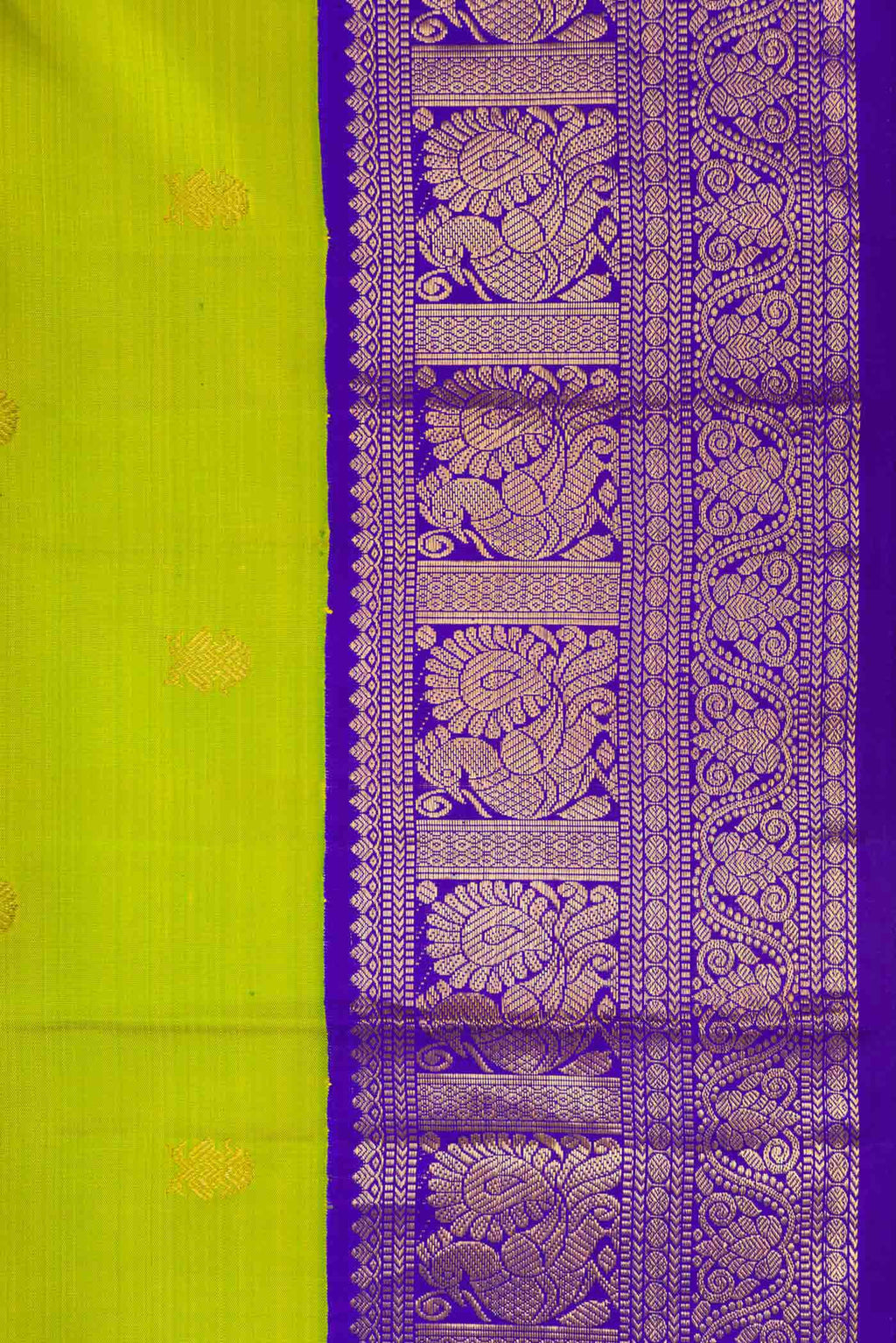 Border image of Parrot Green Dual Tone Kanjivaram Silk Saree with Zari Butta on the body and Zari Border. 