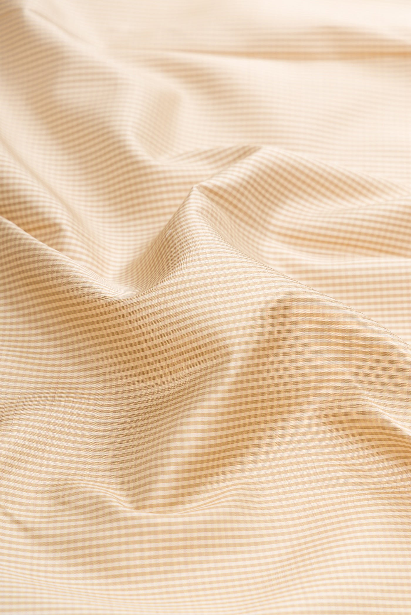 Close up of Dark Beige Dual Tone Kanjivaram Silk Saree with Checked design on the body and Zari Border.  displaying folds