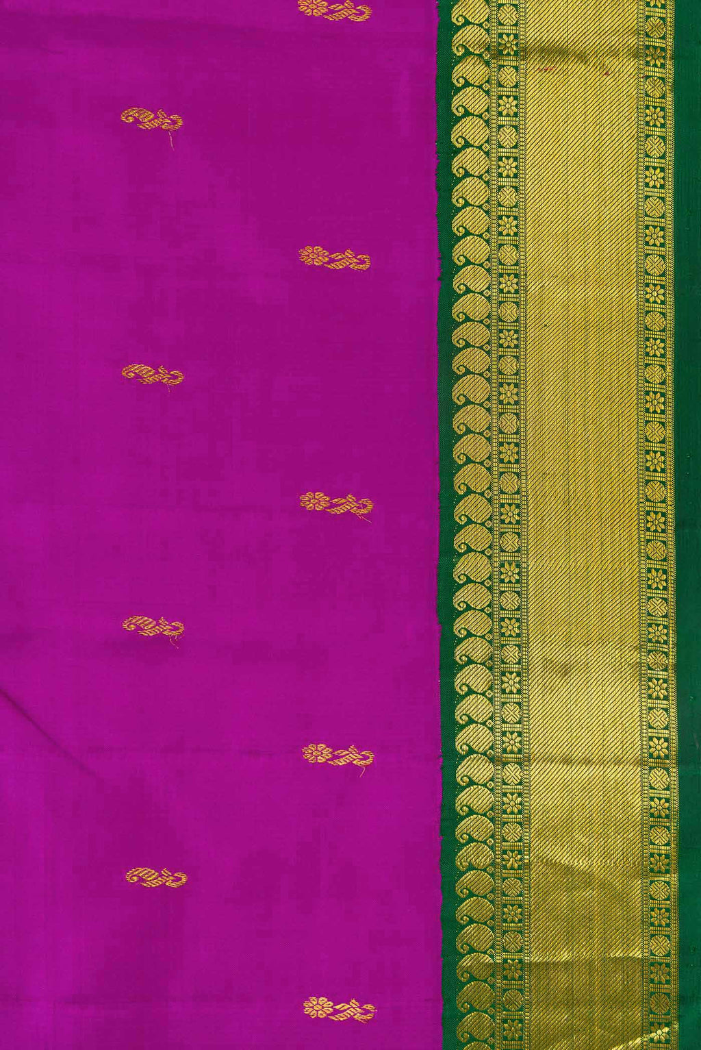 Border image of Magenta Dual Tone Kanjivaram Silk Saree with Zari Butta on the body and Zari Border. 