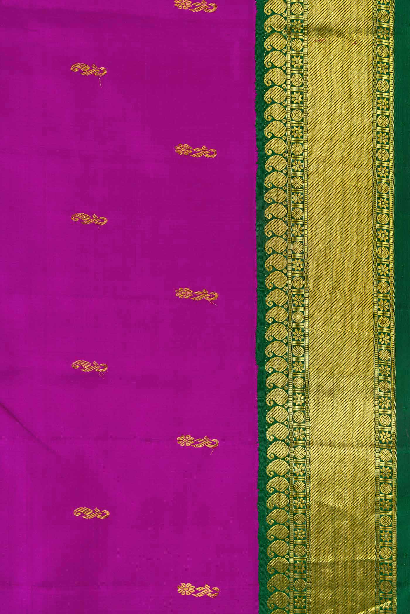 Border image of Magenta Dual Tone Kanjivaram Silk Saree with Zari Butta on the body and Zari Border. 