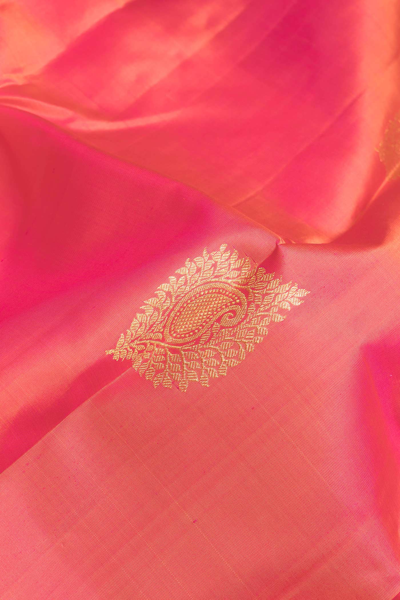 Close up of Coral Dual Tone Kanchipuram Silk Saree with Zari Butta on the body and Zari Border.  displaying folds