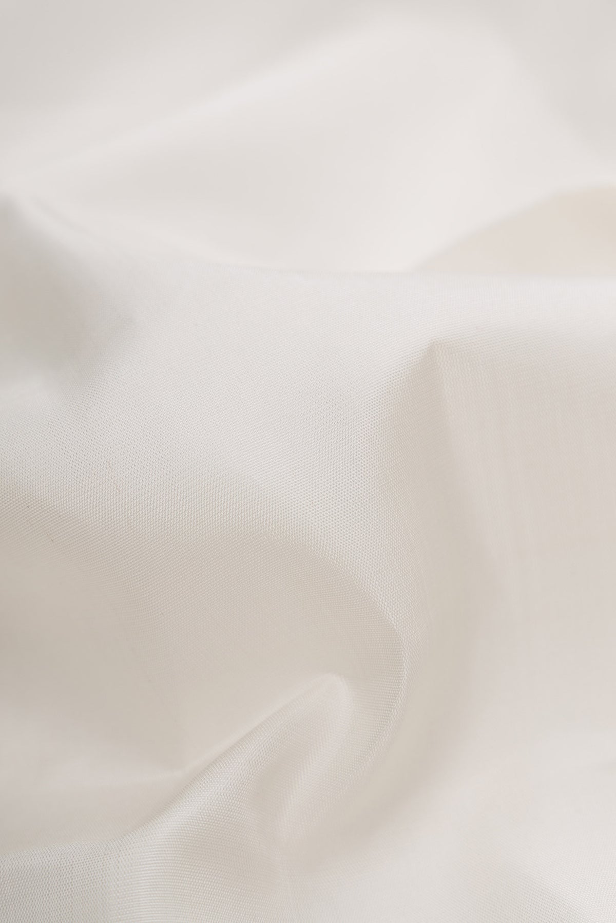 Close up of White Dual Tone Kanjivaram Silk Saree with Plain Body and Zari Border.  displaying folds