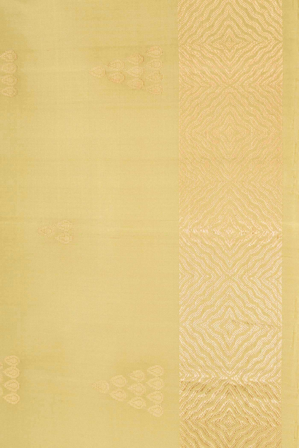 Border image of Pista Green Dual Tone Soft Silk Saree with Zari Butta on the body and Zari Border