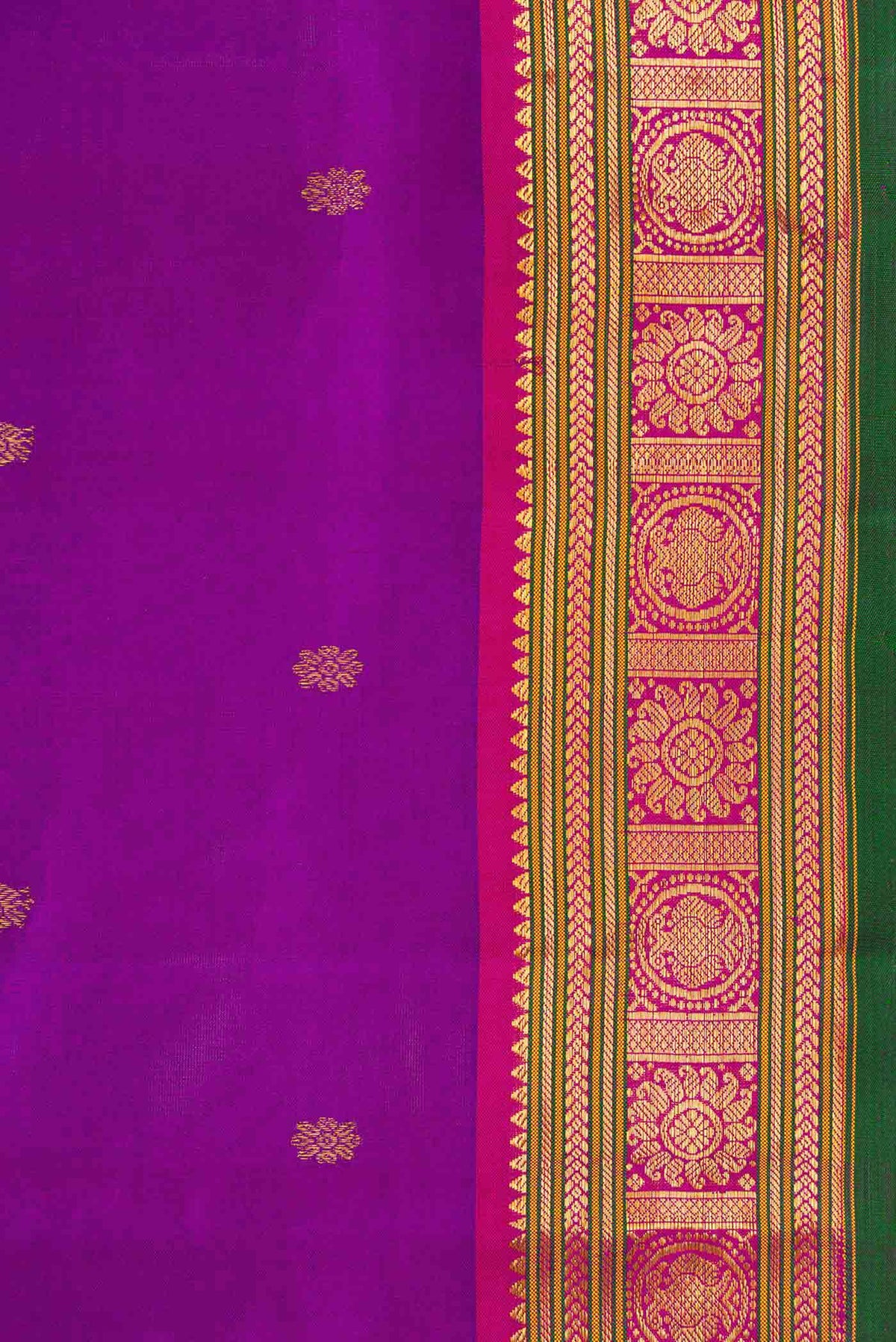Border image of Purple Dual Tone Kanchipuram Silk Saree with Zari Butta on the body and Zari Border
