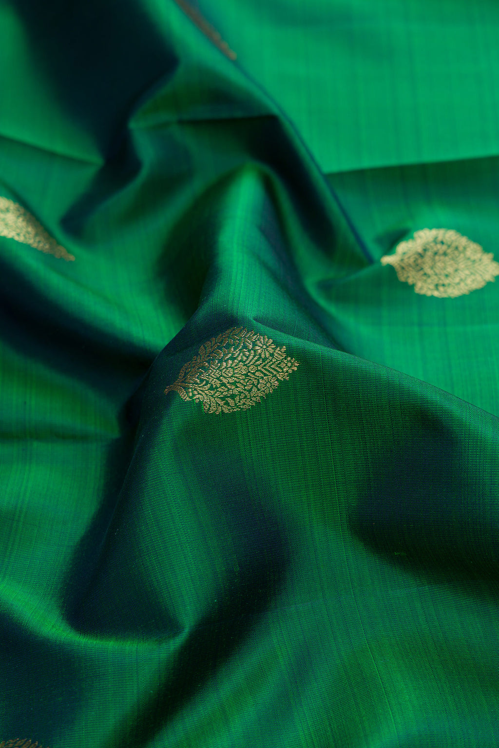 Close up of Green Dual Tone Kanchipuram Silk Saree with Zari Butta on the body and Zari Border.  displaying folds
