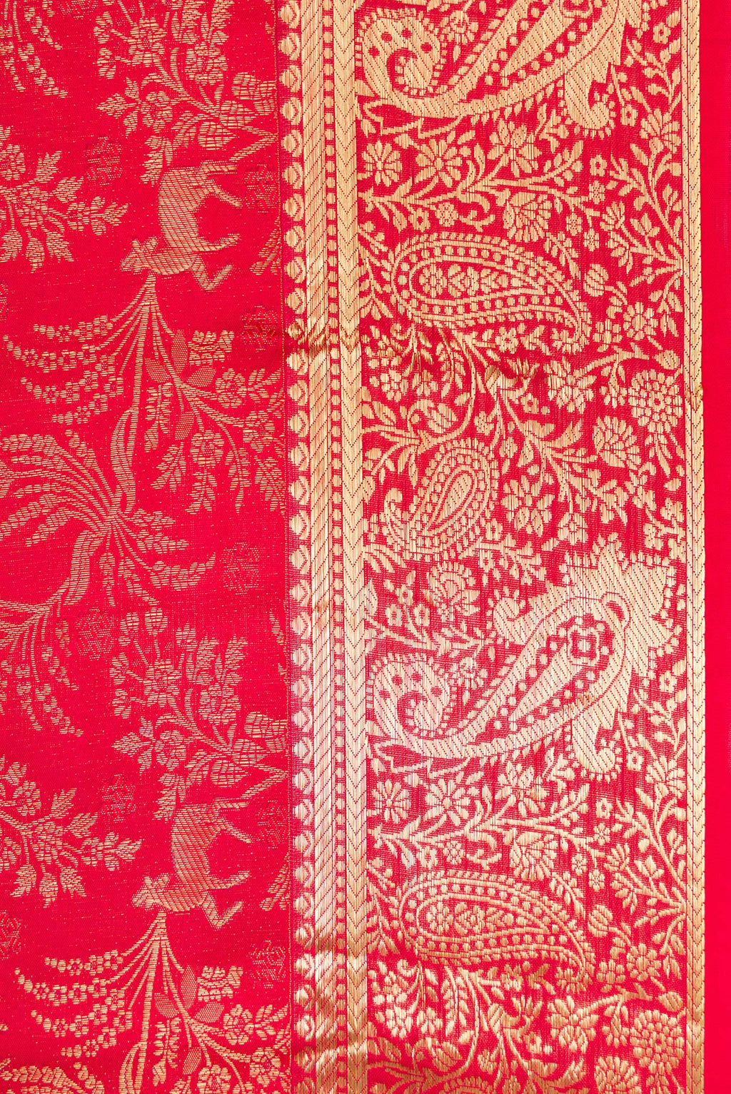 Border image of Red Dual Tone Kanchipuram Silk Saree with Zari Brocade on the body and Zari Border. 