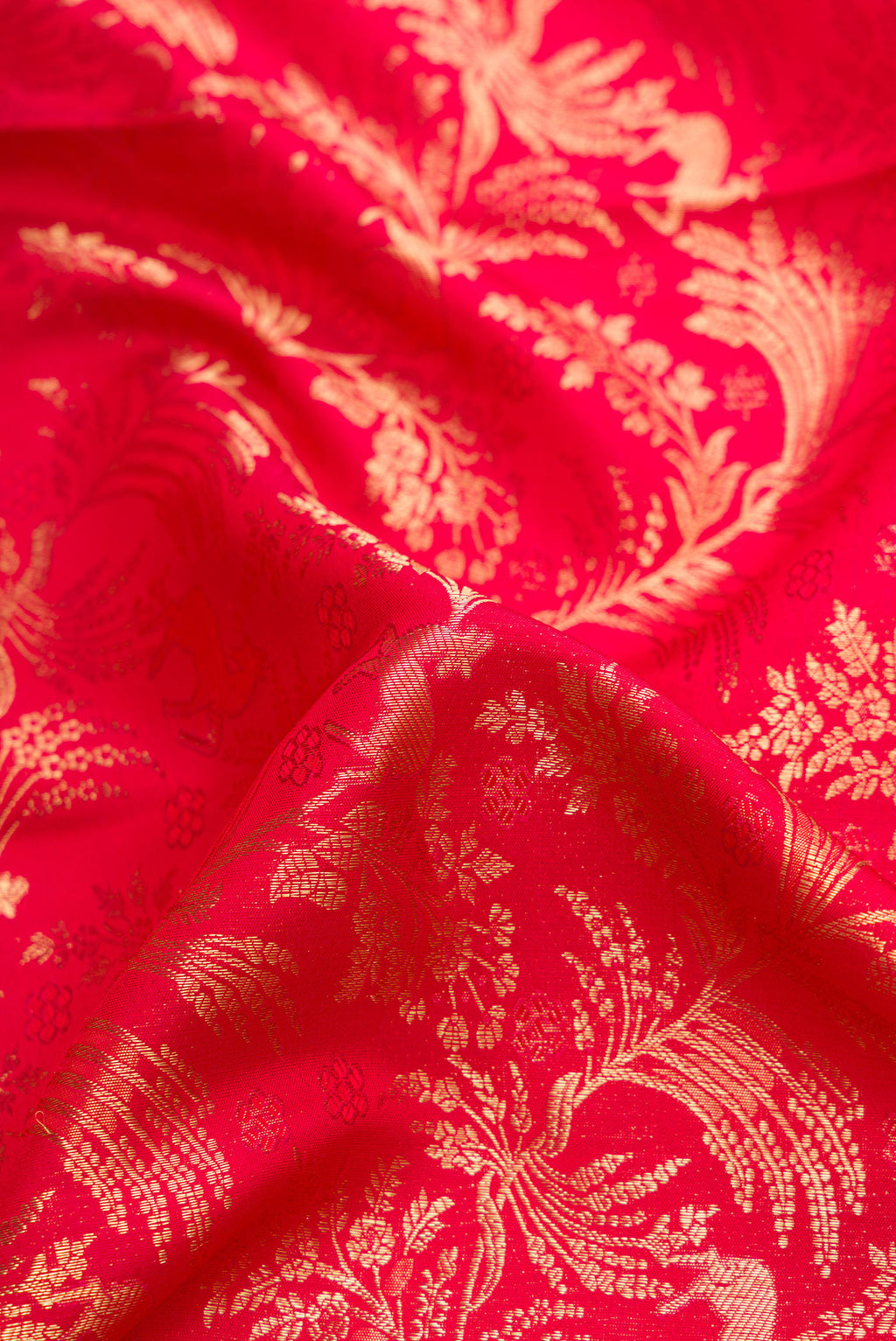 Close up of Red Dual Tone Kanchipuram Silk Saree with Zari Brocade on the body and Zari Border.  displaying folds