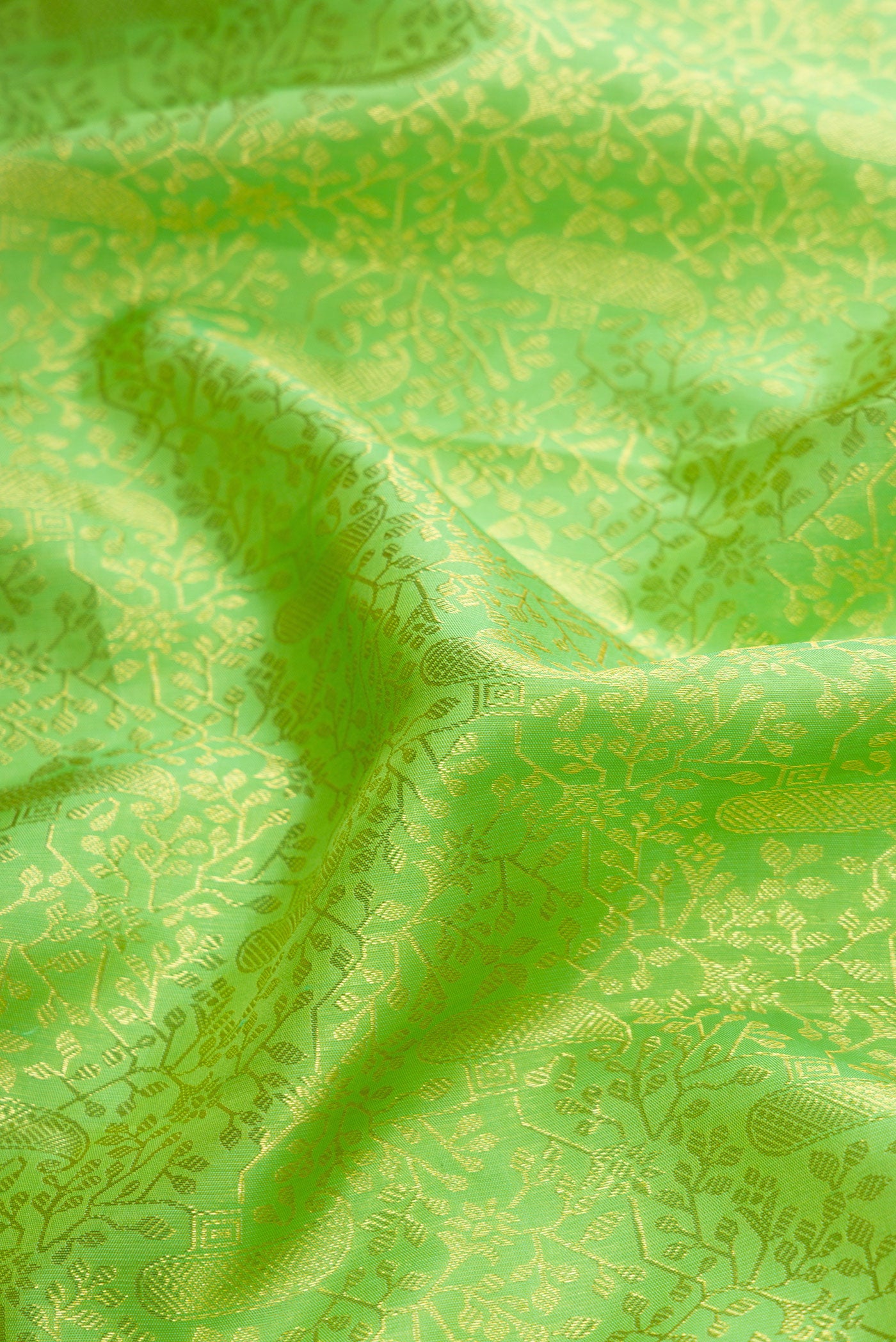 Close up of Parrot Green Dual Tone Kanchipuram Silk Saree with Zari Brocade on the body and Zari Border.  displaying folds