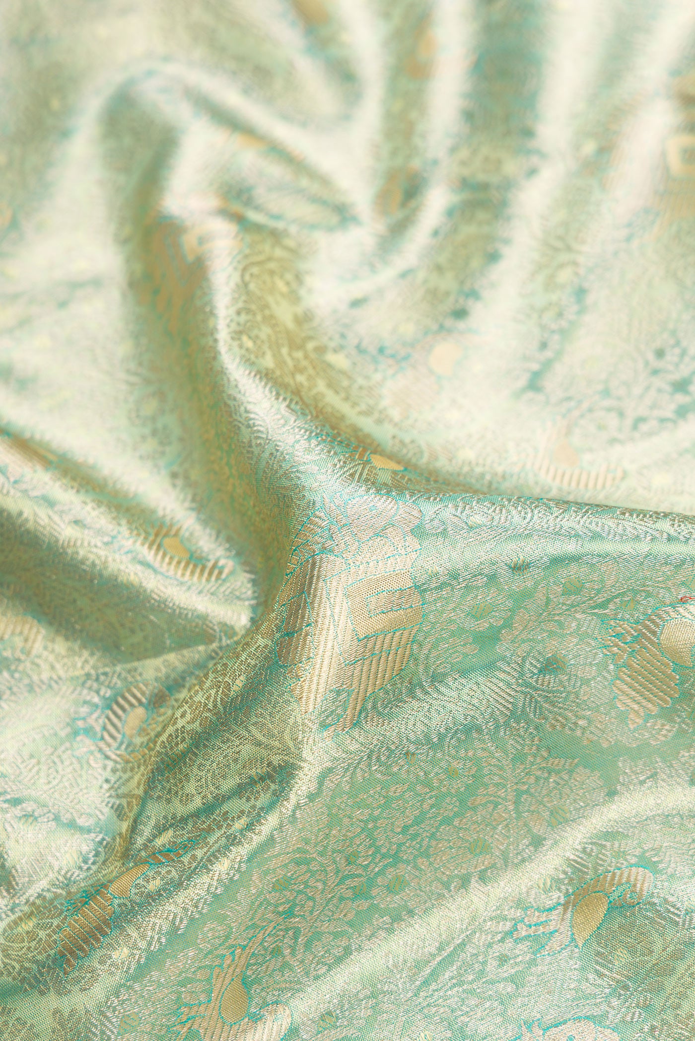 Close up of Sea Green Dual Tone Kanjivaram Tissue Silk Saree with Zari Brocade on the body and Zari Border.  displaying folds