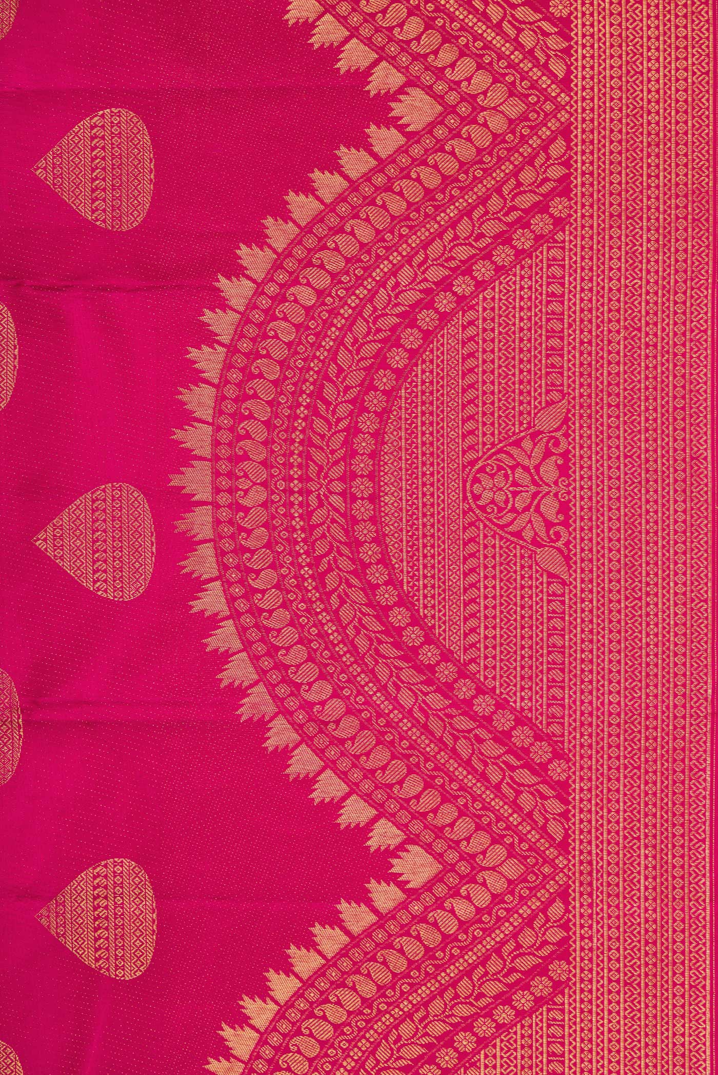 Border image of Magenta Dual Tone Kanchipuram Silk Saree with Zari Butta on the body and Fancy Border. 