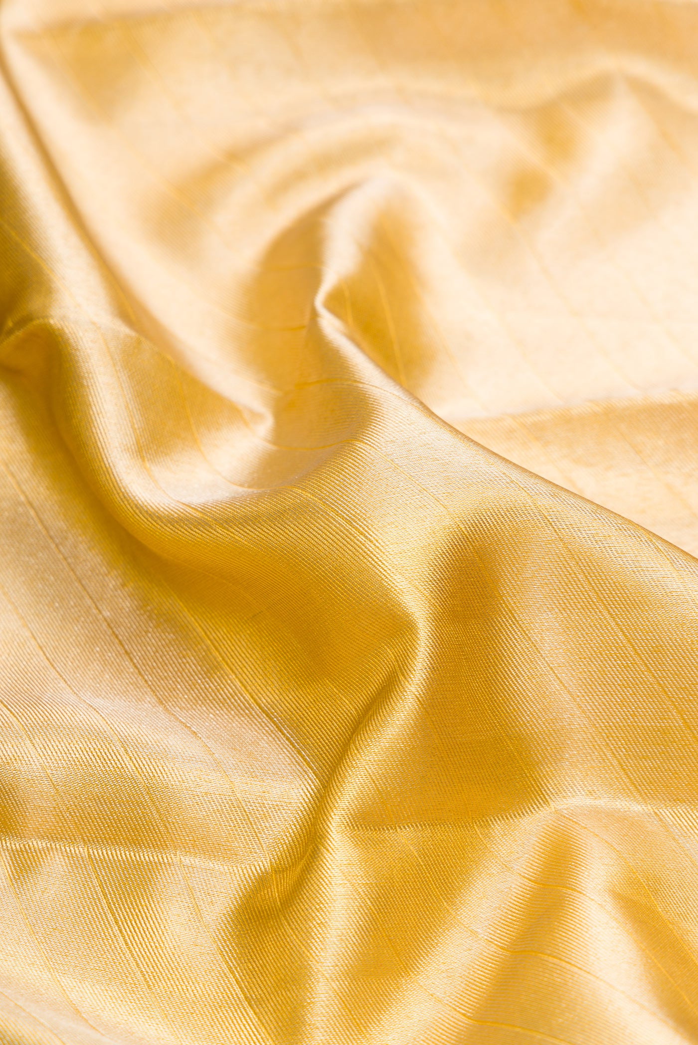 Close up of Gold Dual Tone Kanchipuram Tissue Silk Saree with Zari Brocade on the body and Zari Border.  displaying folds