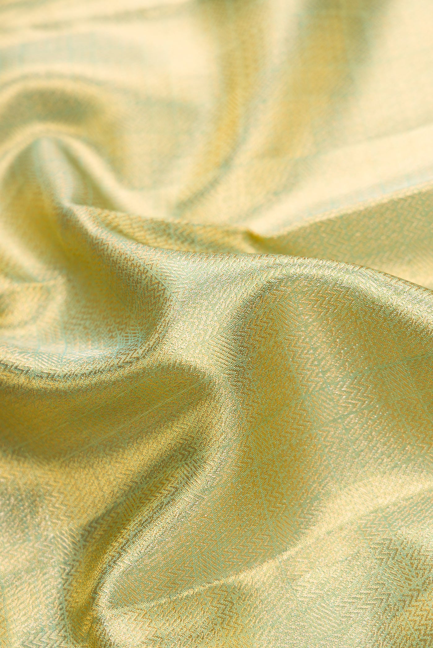 Close up of Pista Green Dual Tone Kanjivaram Tissue Silk Saree with Zari Brocade on the body and Fancy Border.  displaying folds