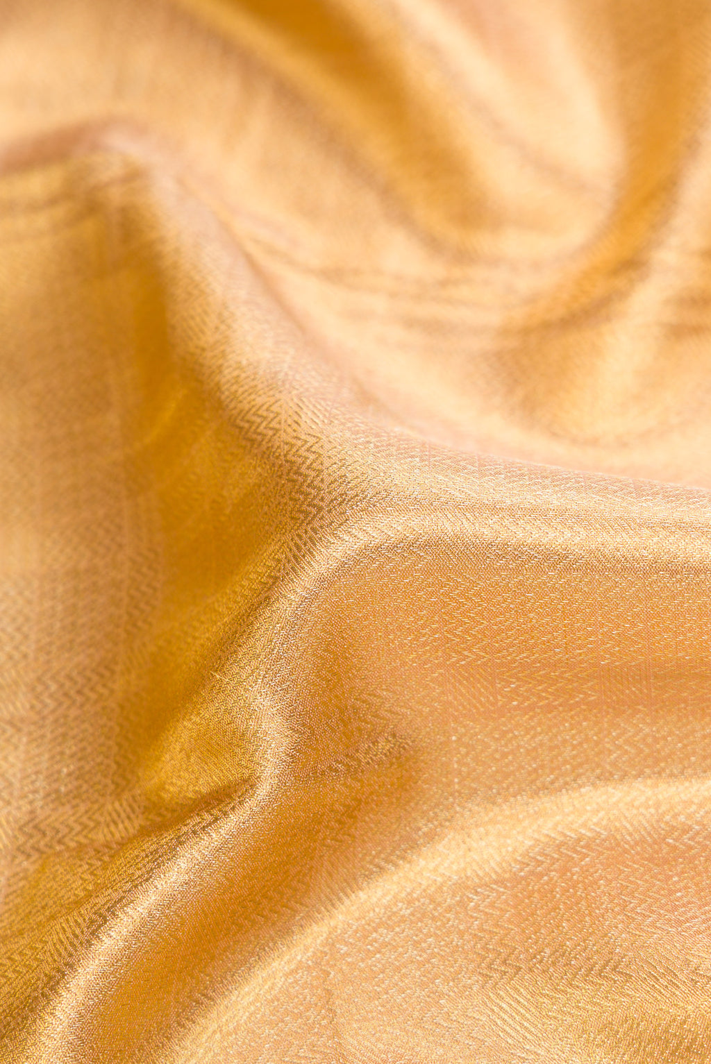 Close up of Gold Dual Tone Kanjivaram Tissue Silk Saree with Zari Brocade on the body and Fancy Border.  displaying folds