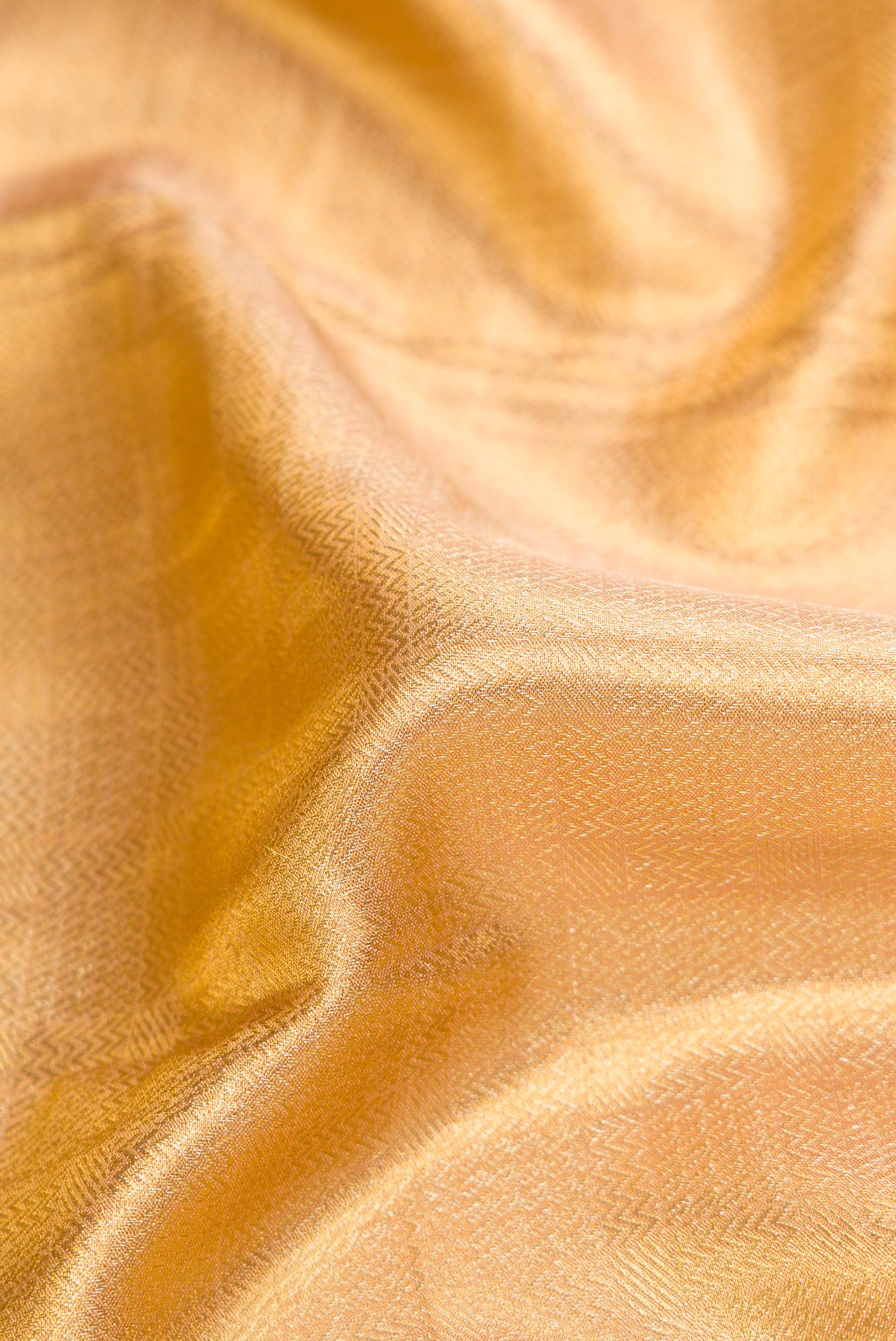 Close up of Gold Dual Tone Kanjivaram Tissue Silk Saree with Zari Brocade on the body and Fancy Border.  displaying folds