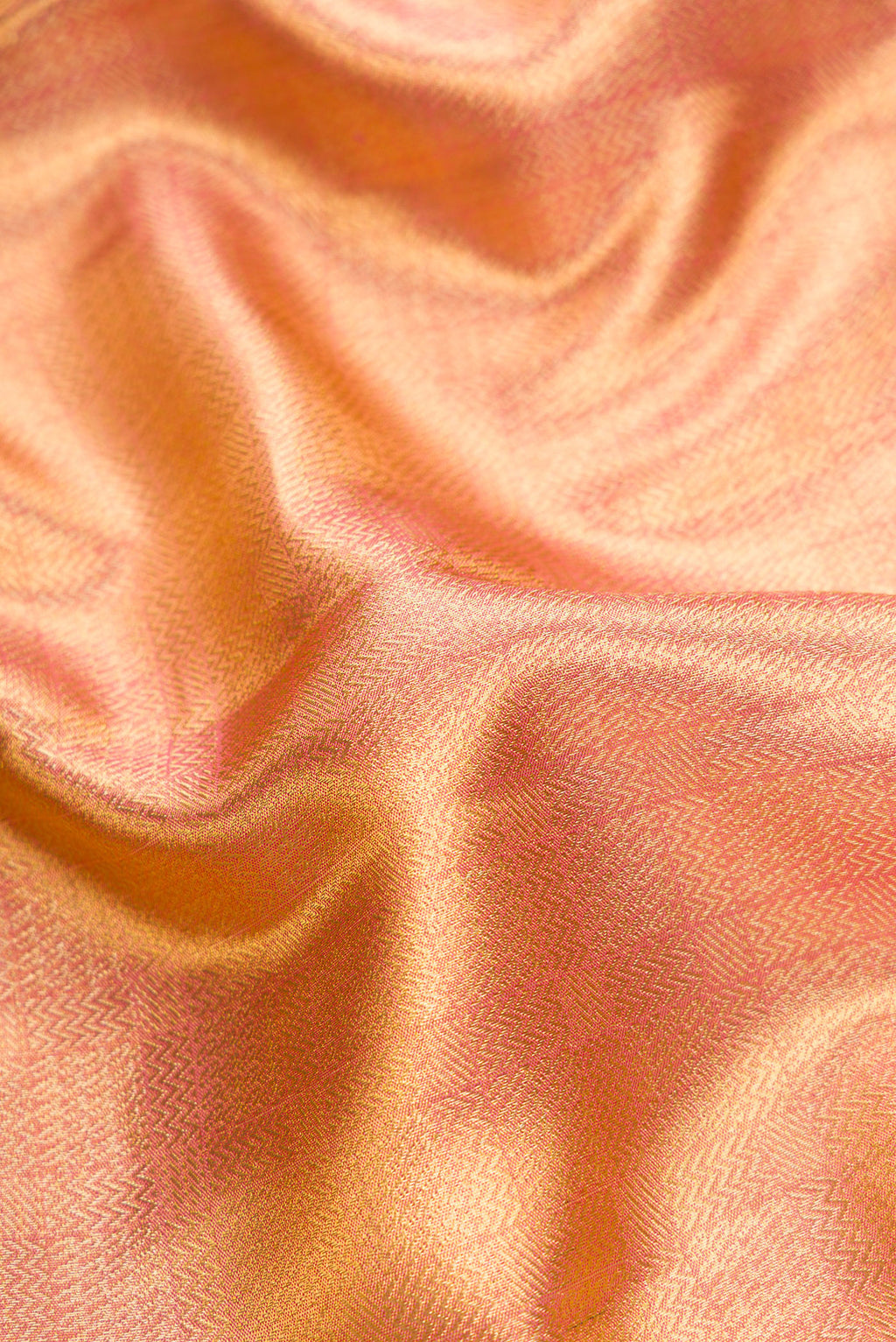 Close up of Gold Dual Tone Kanjivaram Tissue Silk Saree with Zari Brocade on the body and Fancy Border.  displaying folds