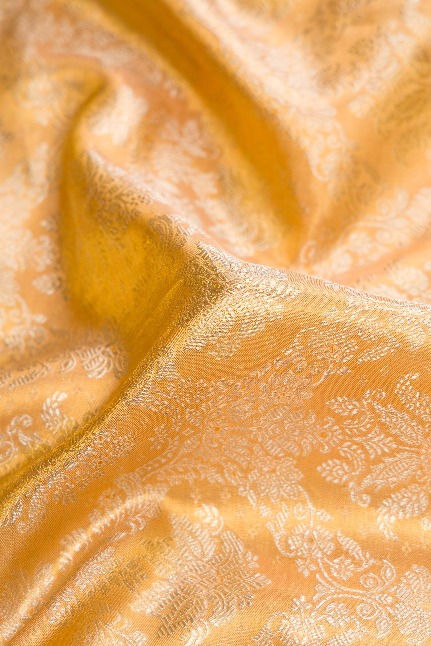 Close up of Gold Dual Tone Kanjivaram Tissue Silk Saree with Zari Brocade on the body and Zari Border.  displaying folds