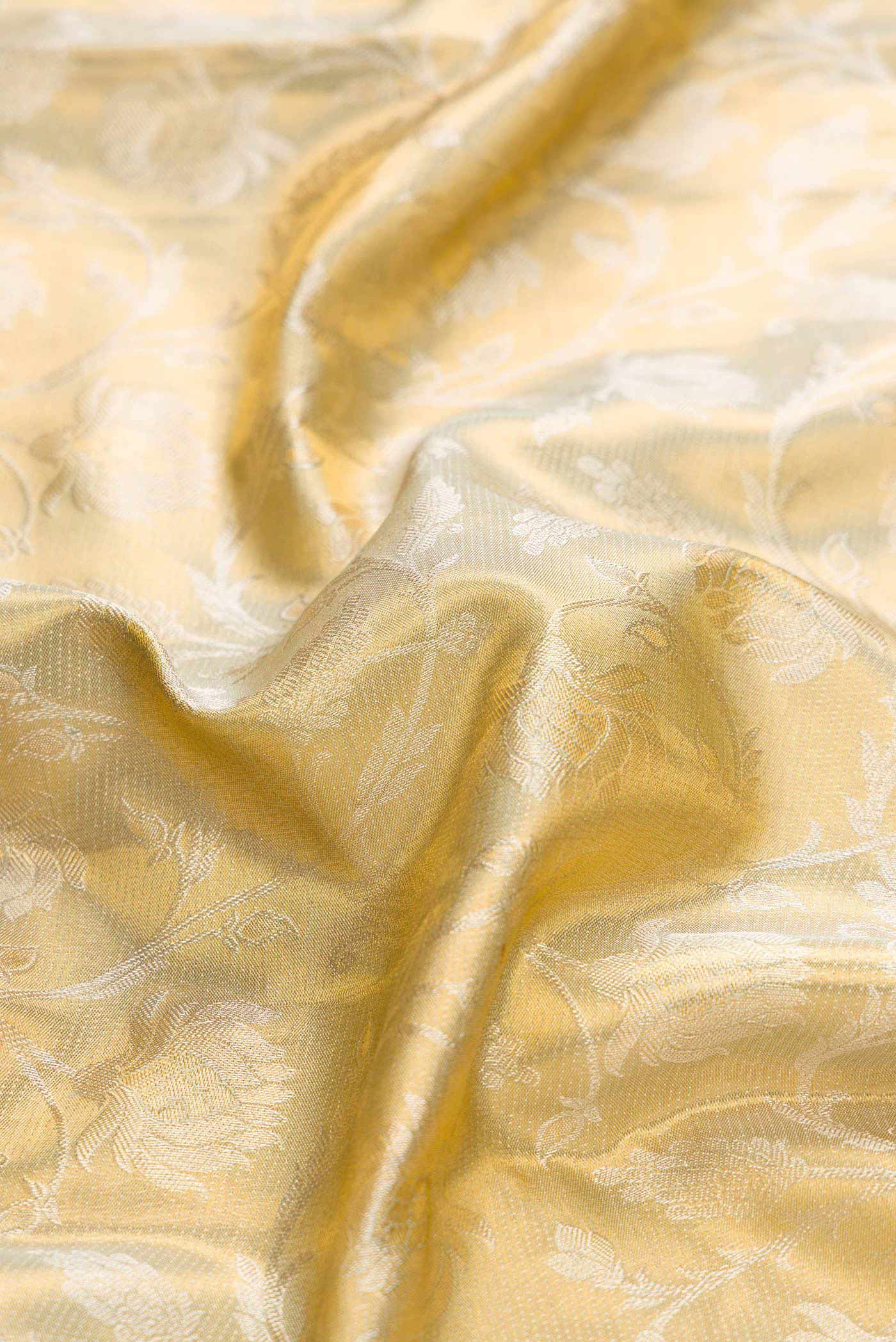 Close up of Light Green Dual Tone Kanchipuram Tissue Silk Saree with Zari Brocade on the body and Zari Border displaying folds